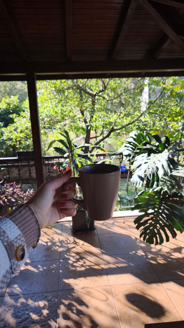 Maşukiye'de verlimli bir iş günü 🌿🍀
Hem kafa dağıtıyoruz hem düzen kuruyoruz 😉
Cumhuriyet bayramımız kutlu olsun canlar 🇹🇷🇹🇷