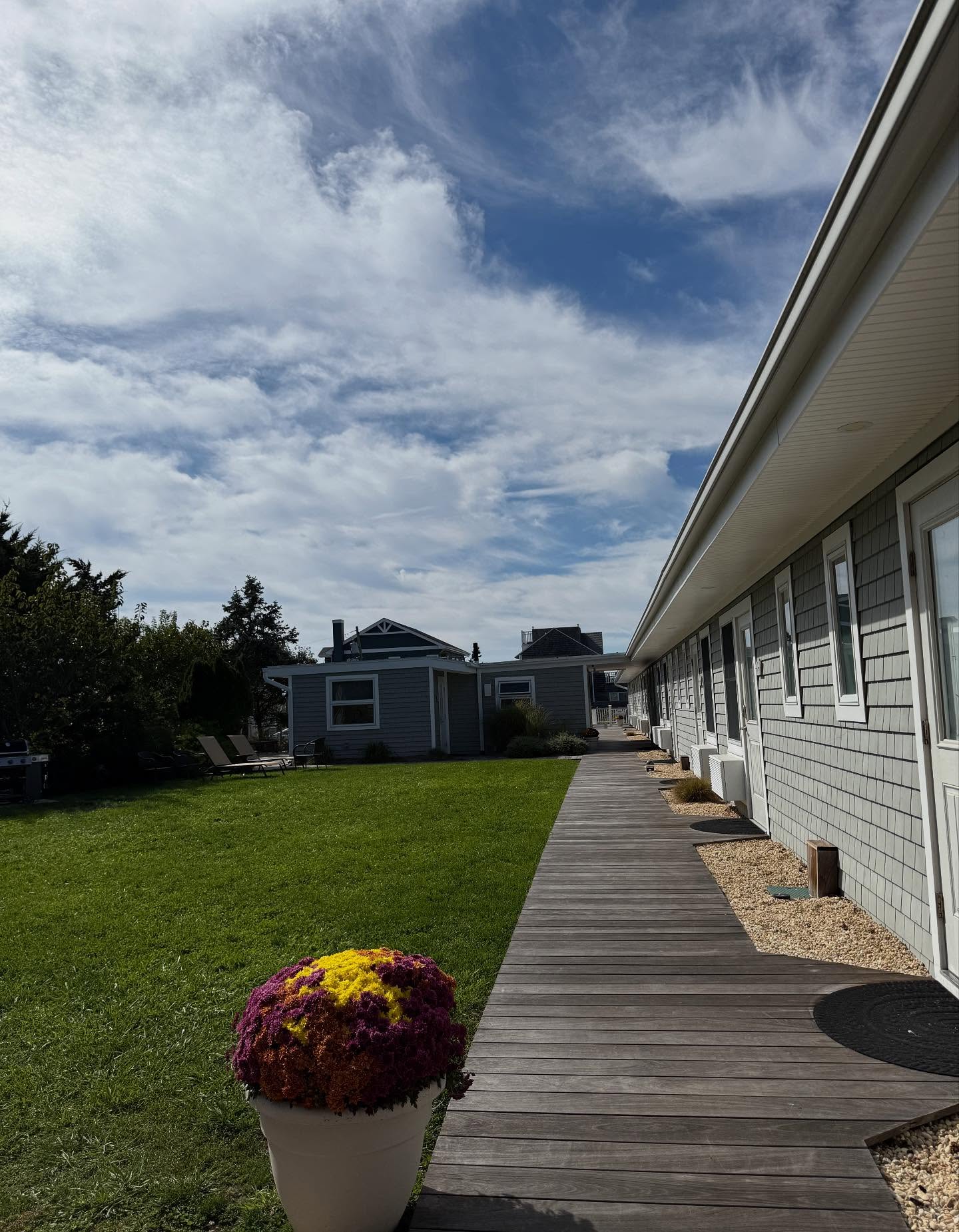 Falling for days like this 🍃✨😌