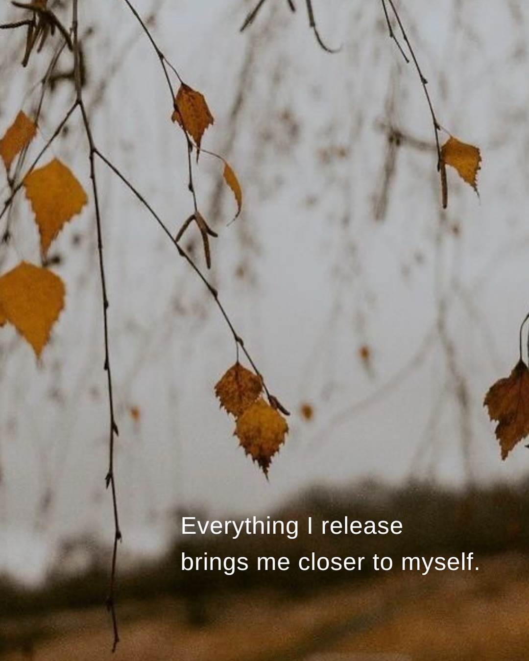 A small and gentle reminder for anyone in a season of letting go.
If it is meant for you, you cannot lose it.
If it is meant for you, you will find it again and again,
It is anchored in your roots,
tending to the flame of your heart,
sharpening your intuition
and opening your mind to versions of you,
you are yet to meet.
You are not losing yourself as you release.
You are softening and returning.
You are your home.
You are home.
I love you. 🫶🏽
*a small request for support, if you have read this far a comment, save or share helps my work reach more people like us. Xx
.
.
.
Nature / mantra / healing / women / autumn.
.
.
.
#seasonalliving #cyclicalliving #natureishealing #slowdown #roottorise #rest #octoberfeels #autumnvibes🍁 #breathworkhealing #energyhealing #soundhealingtherapy #somaticexperiencing #reminderforyou #writersofig