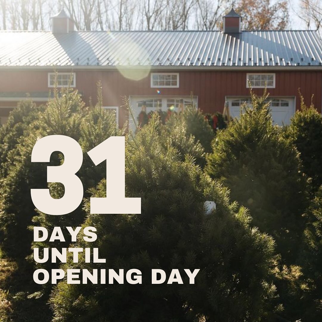 Can you smell the Christmas spirit yet? 🎄🎁🍿✨
Only 31 days until opening day! Who’s ready to kick off the holidays with us? Stay tuned this month for updates on our hours, tree details, cocoa cabin specials, and brand-new gifts! We can’t wait to welcome you all to the farm so soon!
#christmastreefarm #southernmaryland #maryland #marylandchristmas #marylandchristmastreefarm #christmascountdown