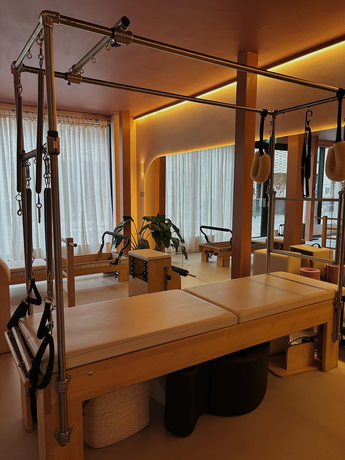 Very happy to announce that I will be collaborating with @thepilatesstudioldn to offer new availability in Battersea on Thursdays, starting this November🧘🏼♀️
Looking forward to catering to unique spines in this beautiful new space, as well as my existing availability in Balham ✨
Find the location and time that suits you best and book using the link in my profile ⬆️
📩 Or send me a DM or email pilateswithrika@gmail.com to find out more
#pilatesforscoliosis #scoliosisexercise #curvyspinemagic #scoliosispilates #spinalfusion #spinalfusionrecovery