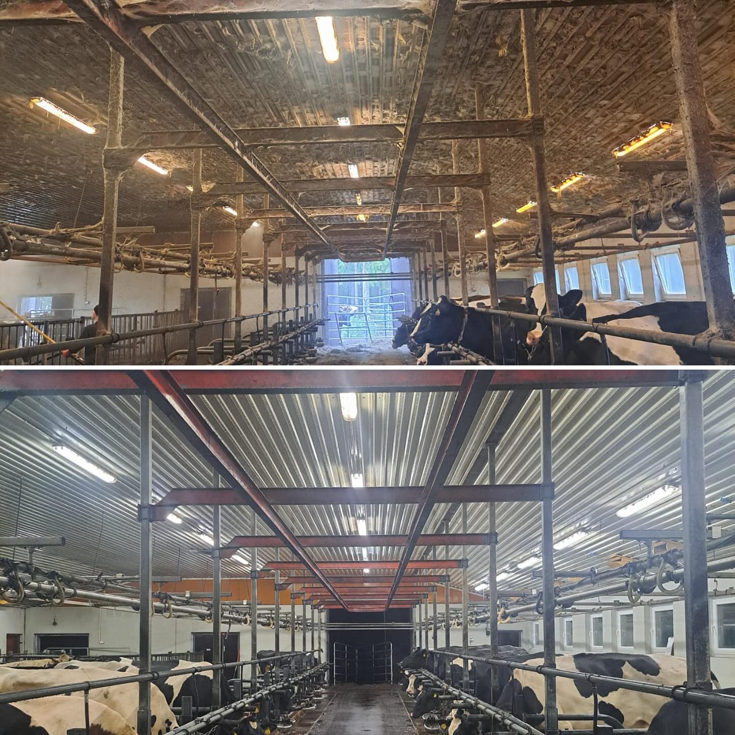 Tänään on viimeinen päivä osallistua arvontaan! Biosta löytyy linkki lyhyeen kyselyymme ja tähän vastaamalla olet mukana arvonnassa, josta voit voittaa tiimimme pesemään 6 tunniksi veloituksetta.