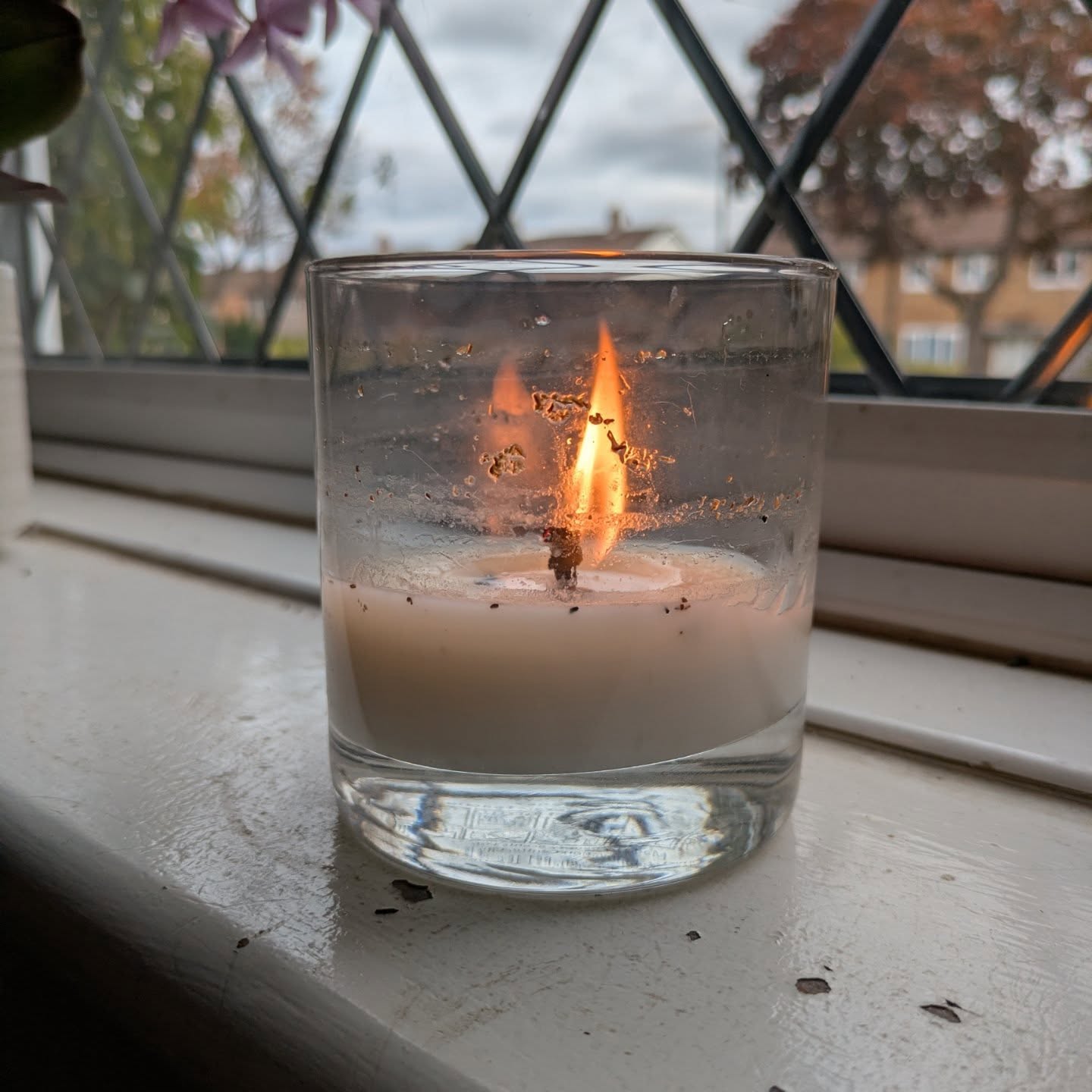 Some little things I added to my weekly working from home day to make it feel more special...
- lemongrass candle
- journalling before work
- decaf mushroom coffee and herbal teas
- calming autumn playlist
- hazelnut chocolate
- two dog walks without my phone.
This evening's walk included a bright, beautiful moon and almost being hit in the face by a bat 🦇
I've been enjoying finding little things to add into my days over the past week, the "little wildnesses" as I've been calling them. There will be more on the way I'm sure 😊