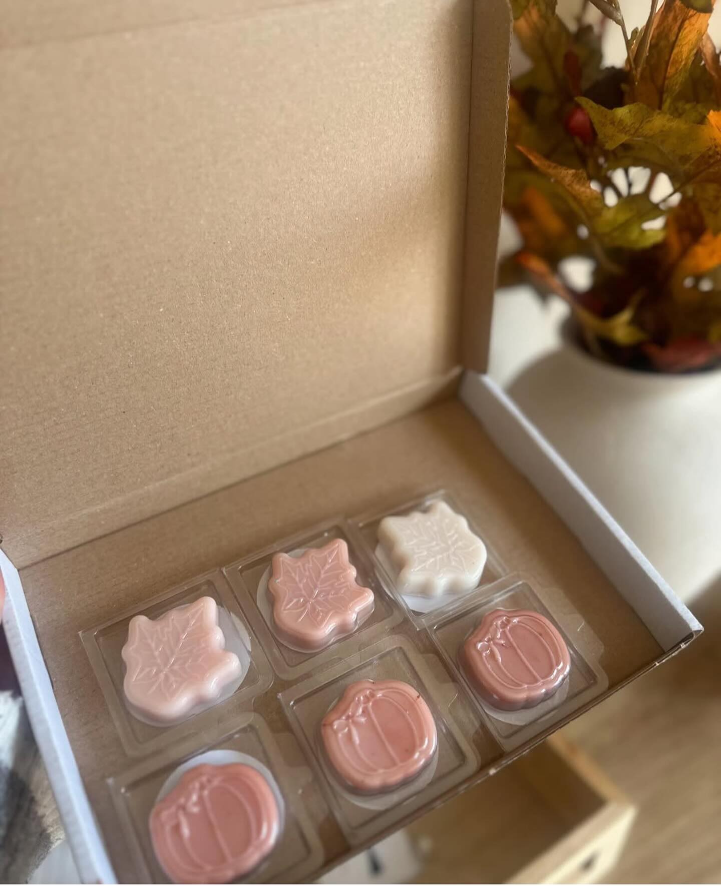 Only one more week to shop our autumn collection! Run, donโt walk to stock up on all your favourite scents ๐๐