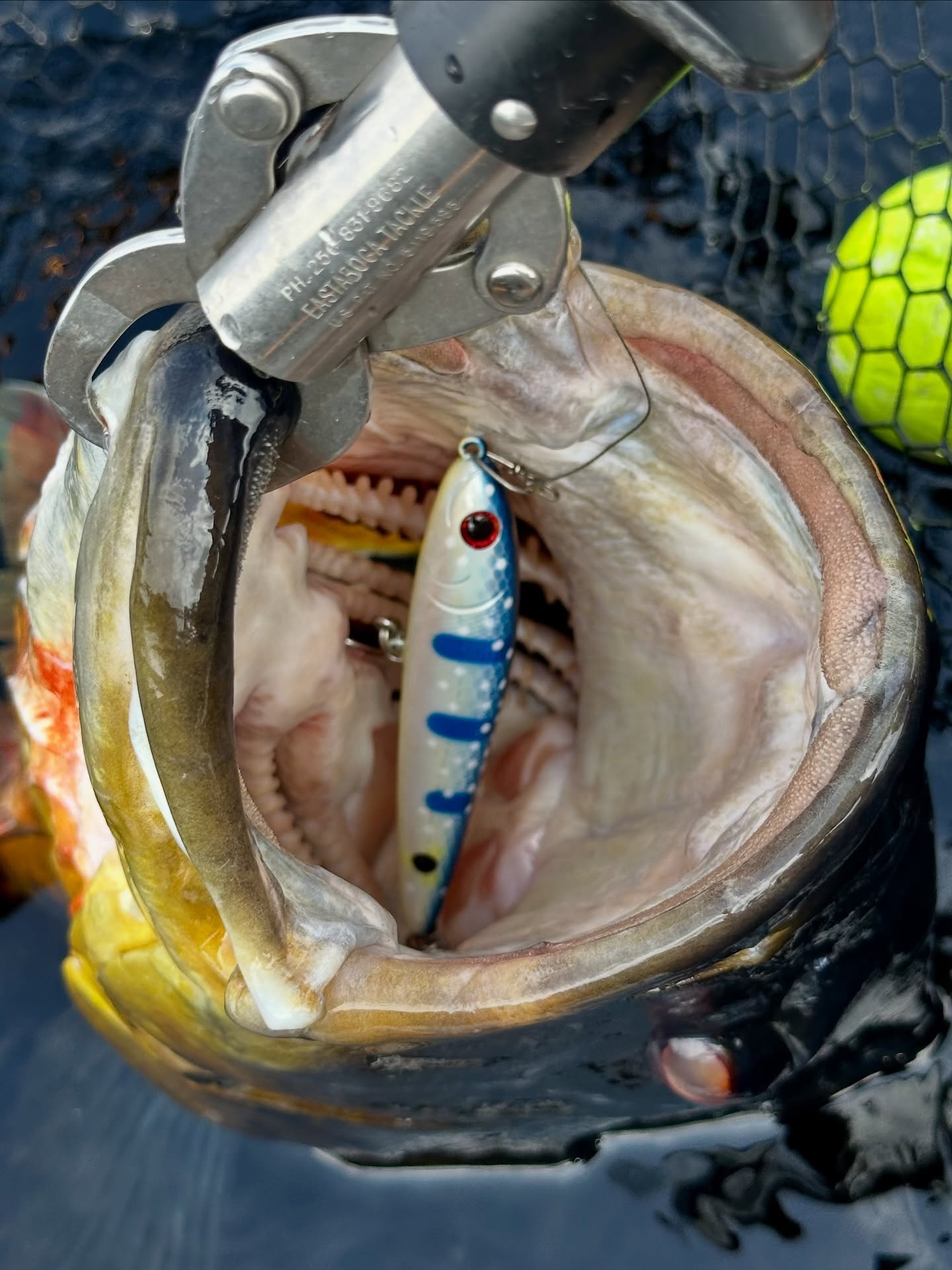 A isca da semana aqui no Alto Uneiuxi.
@smith_ltd_official Vaprax F.
Argolas @odz_dohitomi_fishing #4
Anzóis @decoy_katsuichi 1/0
Peixão do parceiro @bfrotam !