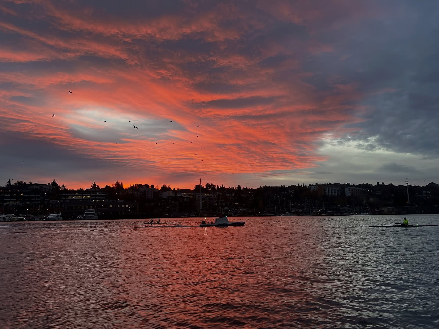 The last Friday sunrise of the fall racing season was spoooOOOoooky! Looking forward to racing @hotlregatta this Sunday.