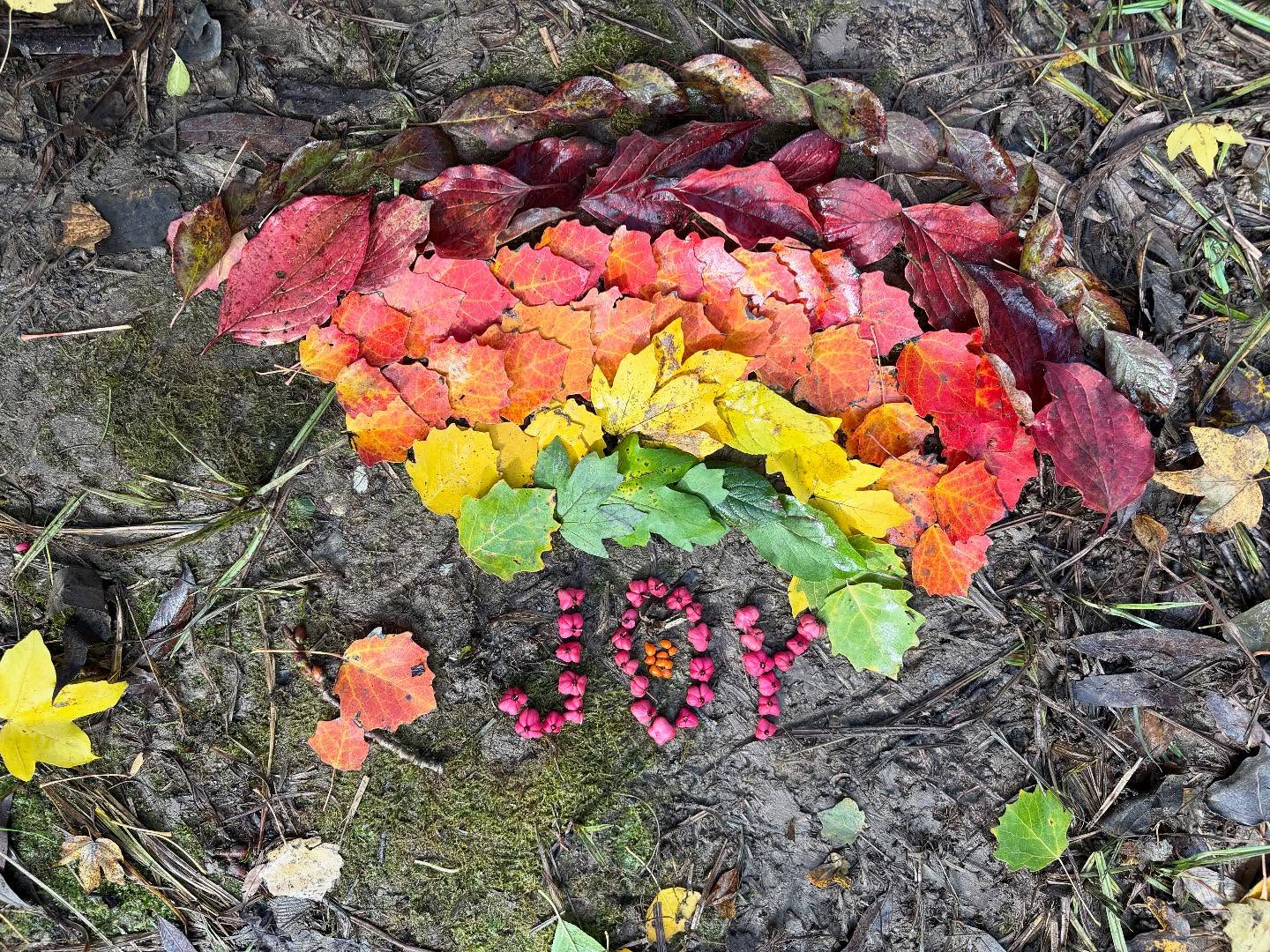 Isn’t fall amazing how it reveals its beauty?