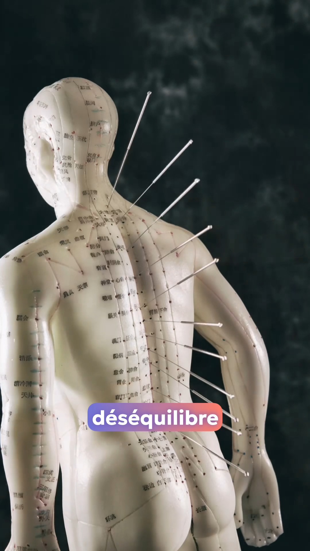 🌿 Découvrez la Médecine Chinoise avec Serge Romanato ! 🌿
Besoin de rééquilibrer votre énergie, soulager vos tensions ou améliorer votre bien-être ? ✨
📍 Cabinet Zen Garden - Carouge
🔹 Acupuncture | Fasciathérapie | Thérapies énergétiques
🔹 Approche holistique pour harmoniser corps & esprit
🔹 Prenez soin de votre santé naturellement
📲 RDV & infos sur 👉 www.cabinet-zengarden.org
💬 Vous avez déjà essayé la Médecine Chinoise ?
Dites-moi en commentaire ! ⬇️
#MédecineChinoise #Acupuncture #Fasciathérapie #BienÊtreNaturel #ZenGarden #Carouge ##essentialsoils #ÉnergieVitale #tao #cieletterre