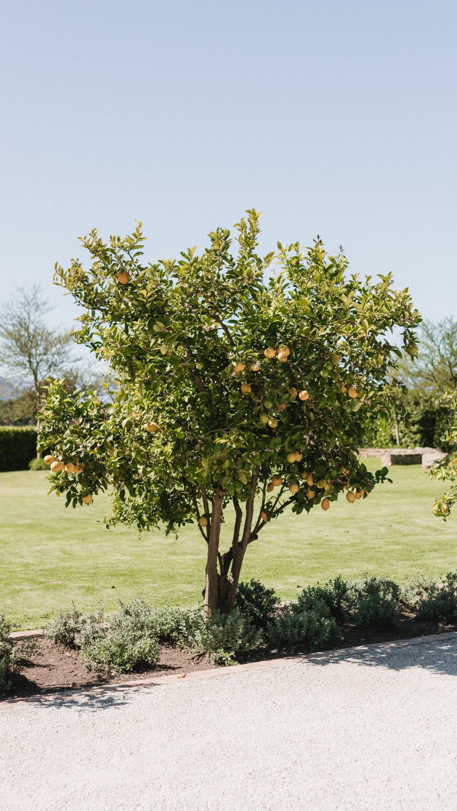 Behind the scenes of Leanne & Pieter’s beautiful day!
Every detail thoughtfully planned to create a seamless, stress-free celebration.
➡️ Take a peek for some stunning setup inspiration!
Cover image: @harvest_studios_