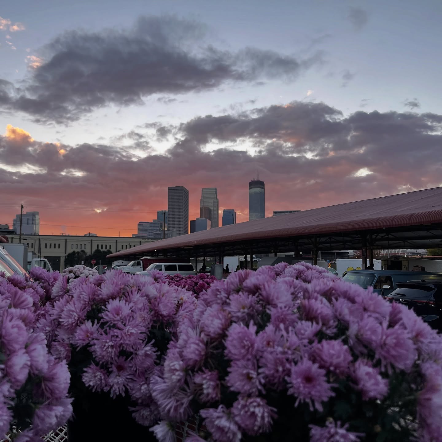 Happy Sunday! It’s going to be a beautiful morning over here. Swing by to spend the rest of your market bucks, bid farewell to some vendors wrapping up their season and pick up some goodies for the week ahead.