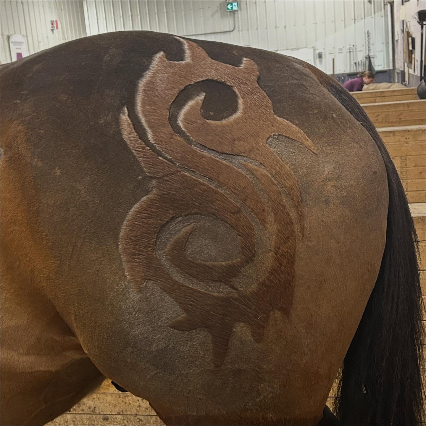 Today was day 1 of cutie marks! Thanks @gem.and.the.equestrians for keeping @quixotic_dreams on task! 💜
Can you guess who is who?