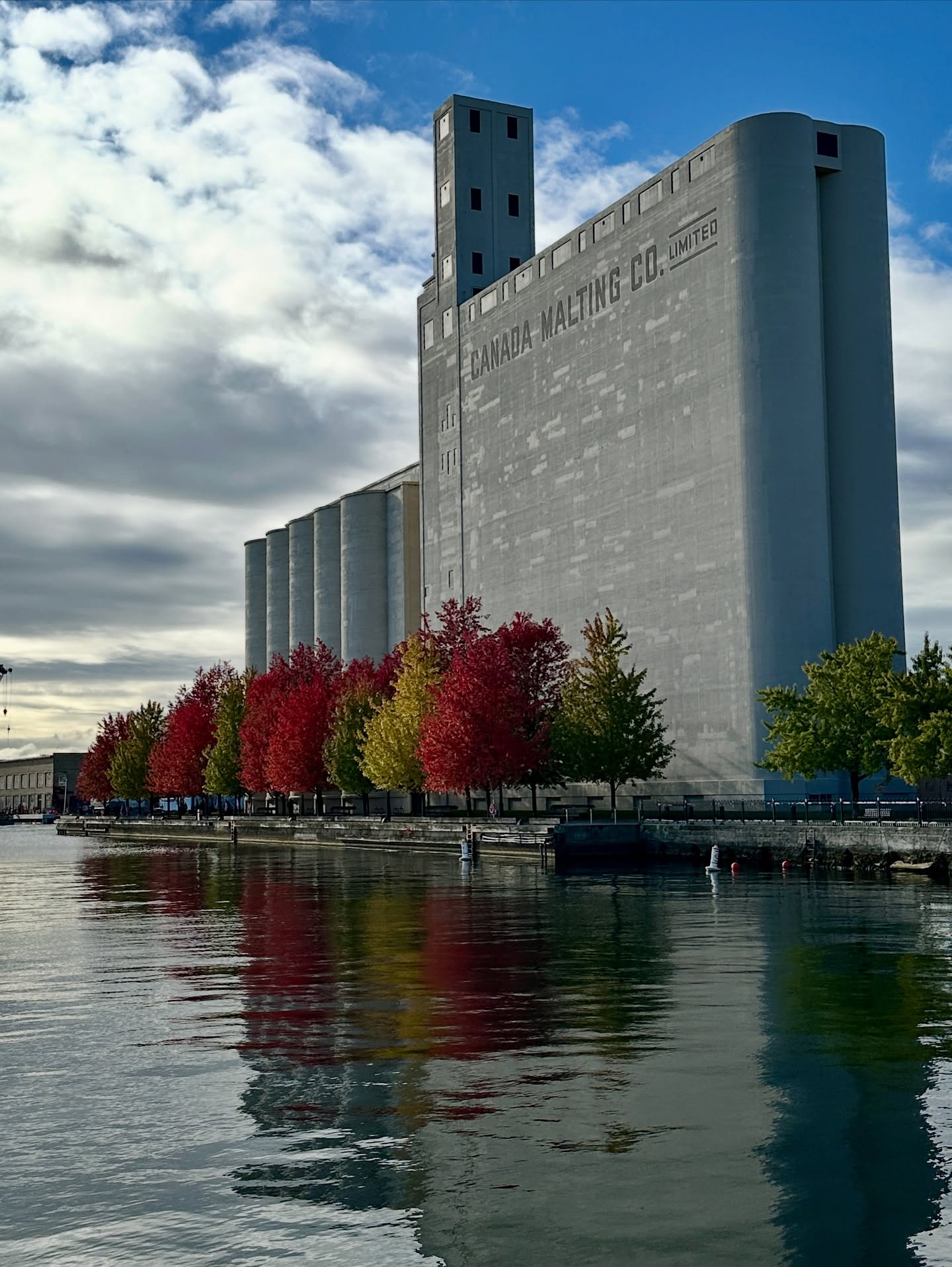 🍁Industrial heritage meets autumn magic.
The Canada Malting Silos, standing proud on the western gap of Toronto’s harbour, have watched over our waterfront for over a century. Today they are provide a striking backdrop to the fiery reds and golds of the season.
Reflections ripple, colours glow, and this concrete giant reminds us that even industry can be beautiful in the right light.
🚲 A favourite stop on our Waterfront Tours - especially in autumn.
#PedalToronto #TorontoWaterfront #CanadaMaltingCo #TorontoHistory #TorontoHarbour #BikeTO #UrbanHeritage #ExploreTO #DestinationToronto #FallColours #WaterfrontTrail #TravelCanada