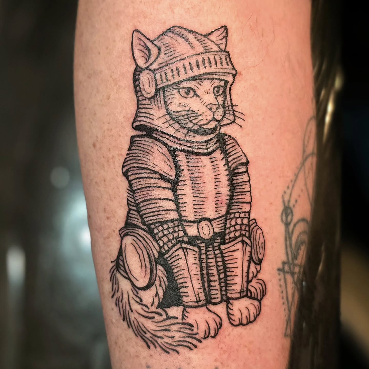 Medieval woodcut cat for @kinglouisiiv this morning ðĪ it was really fun designing this, would like to do more in a woodcut style!
.
.
.
#tattoo #art #design #cat #Knight #woodcut #medieval