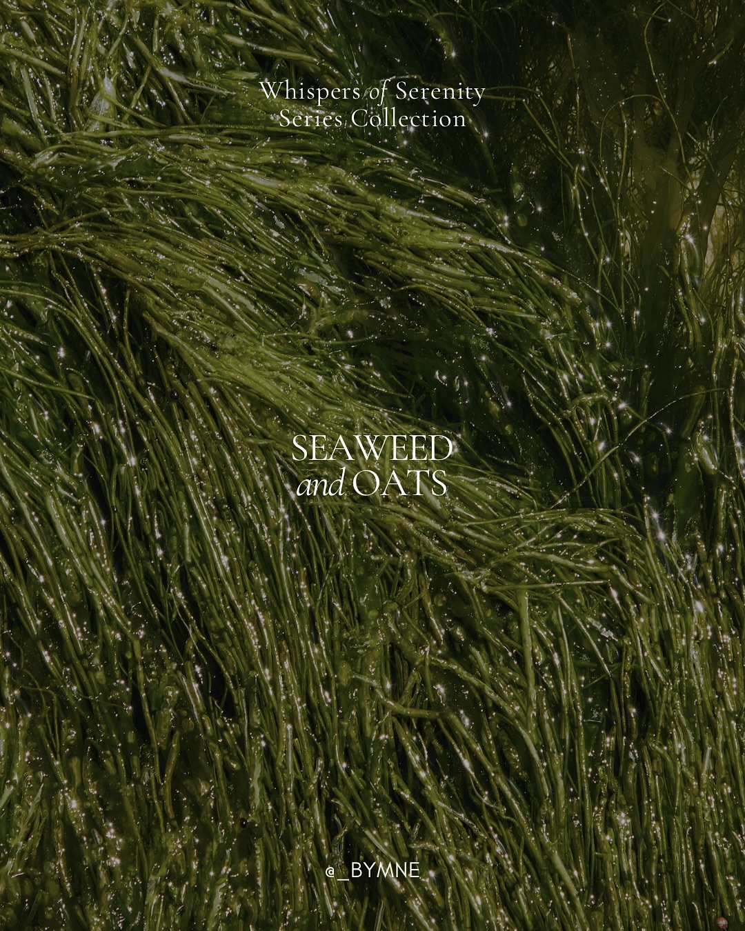 Make every touch a daily ritual of self-love, where you pause, breathe, and let go.
Let the soothing ritual be a reminder to treat yourself with kindness and compassion.
Our Seaweed & Oats series is more than just products — it’s a gentle haven that supports you in finding peace, calm, and serenity.
#comingsoon #bymnēnatural #naturalskincare #gentleskincare #serenity #serene