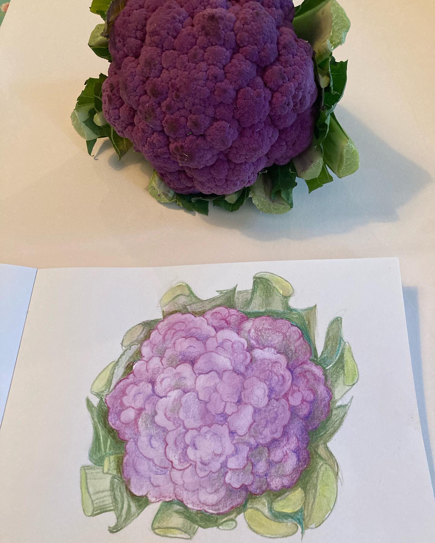 Le chou fleur, selon la Diététique Chinoise!
Un dessin perso, ma recette préférée!
.
Le chou fleur est un aliment de nature neutre, de saveur douce et piquante (plutôt cru).
Il tonifie le QI et la Rate. Il régularise l’Estomac et lubrifie les intestins. Il soutient la fonction hépatique, soigne les ulcères de l’estomac et du duodénum.
Comme tous les crucifères, la famille des choux, il a des vertus de prévention contre le cancer, mais moins de qualités nutritionnelles, de glucosilonates que ses cousins, les choux verts, pak choü, chou kale et brocolis.
Toutefois, s’il est, comme cette merveille que j’ai dessinée, de couleur violette, il sera 2 fois plus riche en antioxydants, surtout en anthocyanes (qui lui donnent sa couleur violette) que le chou fleur classique de couleur blanche, parent pauvre de la famille des crucifères.
Ma recette préférée: Wings de chou fleur, yaourt à la betterave, grenade (la recette est sur lion blog, lien dans ma bio).
.
Régalez-vous bien, en vous faisant le plus grand bien!
.
#chou #choux #choufleur #santénaturelle #bienfaitsanté #alimentsquisoignent #alimentssante #dietetiquechinoise #madreperlamtc