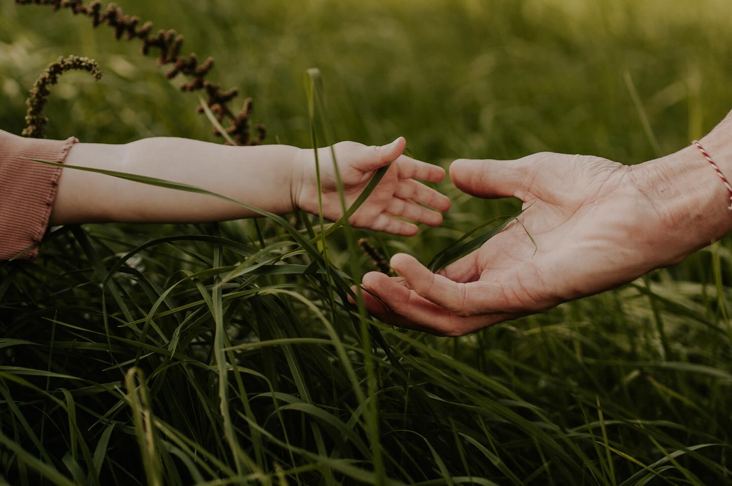 Manchmal sagt Schwarz-Weiß mehr als tausend Farben.
Beim farbigen Foto spürt man die Wärme, sieht die echten Töne, erkennt die Vertrautheit.
Doch in Schwarz-Weiß? Da bleibt nur das Wesentliche: die Berührung und der Moment.
Schwarz-Weiß nimmt alles weg, was ablenken könnte und lenkt den Blick auf das, was wirklich zählt: Emotion, Nähe, Verbindung.
Dieses Bild erzählt eine Geschichte, ganz still und ganz stark.
Was ist euer Favorit Farbe oder Schwarz-Weiß? ☺️ Stimmt gern mal ab ⬇️
#schwarzweißfotografie #emotionenfesthalten #detailverliebt
#elternliebe #kinderhand #handinhand #fotografinthüringen
#familienfotografie #berührungsmitherz #authentischemomente
#zeitlosefotografie #liebeimbild #stillemomente #emotionalebilder
#kindheitsmomente