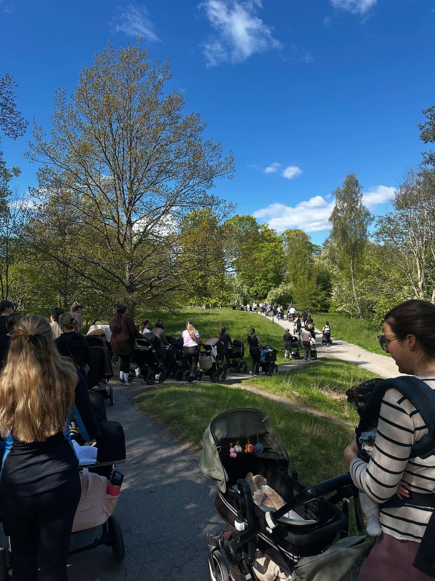 TÄNK VAD MÅNGA VI VAR 🤩
Nu är det ca 6 månader sedan vi var +300 barnvagnsdragare som rullade ut på Djurgården för Aktiv Barnvagnspromenad 8 årsdag - var du med eller såg du oss?
Idag kl. 10.00 så går vi igen 🙌🏽
Du hittar mer info i det fastnålade inlägget!