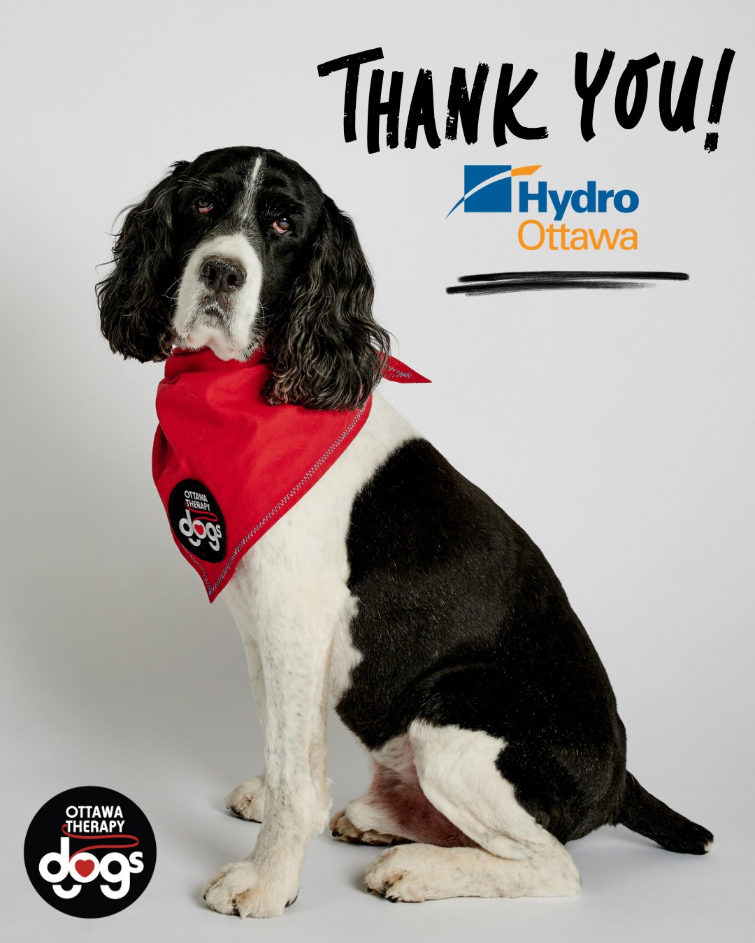 A huge thank you to @hydroottawa for their generous $1,500 contribution toward our recruitment efforts! We’re so grateful for community partners who believe in the powerful impacts of therapy dog visits as much as we do.❤️