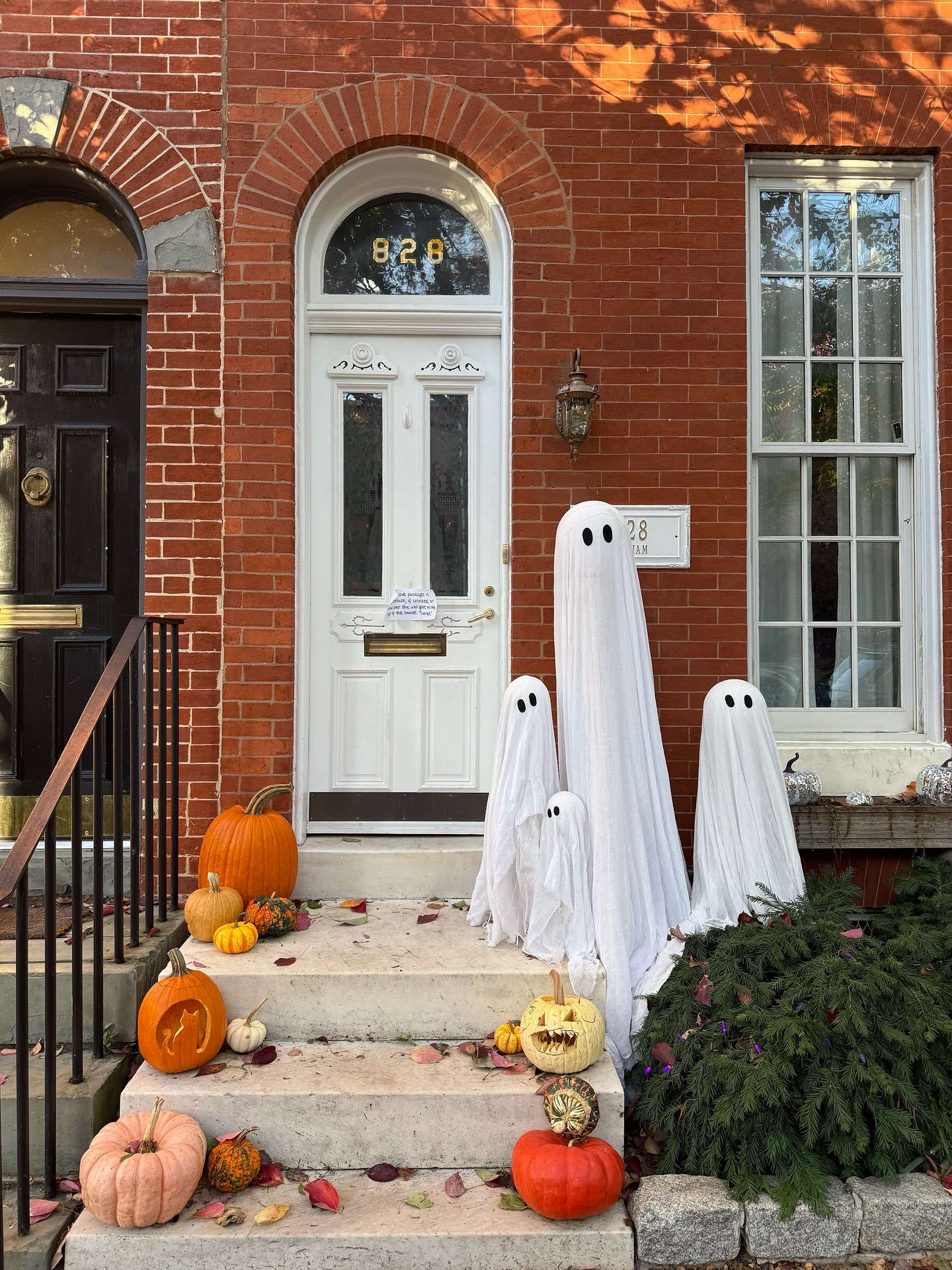 👻🎃Happy Halloween from Fed Hill!
⠀⠀