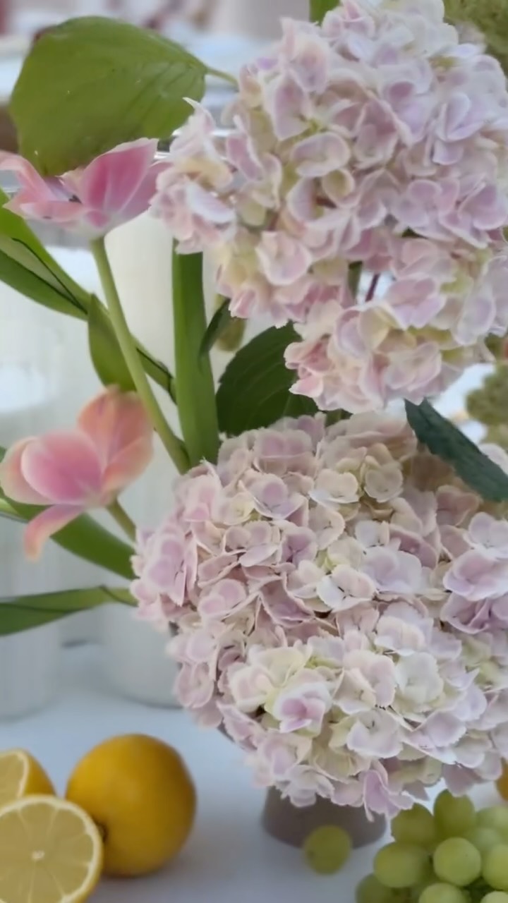 Modern, romantic, and full of personality a celebration of colour and form.
Petite clusters, cascading fruit, sculptural blooms, and tones of lemon, soft pink, and green made this reception one to remember for our Yvette & Matt
@gabbinbar
#gabbinbar #gabbinbarhomestead #toowoombawedding #qldwedding #queenslandwedding #florist #toowoombaflorist #weddingfloraldesign #floraldesign #weddinginspo #realwedding #justmarried