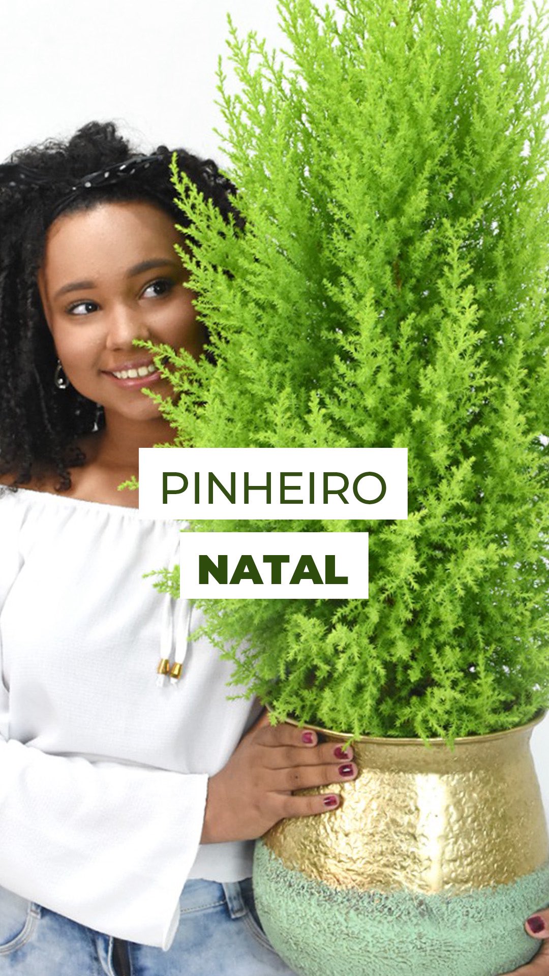 A contagem regressiva acabou…
O espírito natalino foi liberado 💫🎄✨
E com o cheirinho dos nossos pinheiros naturais, fica ainda mais especial!
São duas variedades encantadoras:
🌿 Tuia Holandesa, com perfume de limão suave e tamanhos que vão do mini até uma árvore de respeito!
🌲 Tuia Stickta, resistente e com o verde intenso que é a cara do Natal tradicional.
Cada uma tem seu charme e ambas são perfeitas para quem quer celebrar o Natal de um jeito mais natural e cheio de vida!
E aí, qual delas vai ser a estrela do seu Natal? ✨
#natalnatural #pinheironatalino #tuiaholandesa #tuiastickta #plantasnatalinas #floresdenatal #decoraçãodenatal #christmas #xmas #terraviva #tuias #pinheiros #pinheirinho #decor #natal #feliznatal #merrychristmas #arvorenatalnatural #tuiaverdelimao #cheirodelimao #plantasverdes