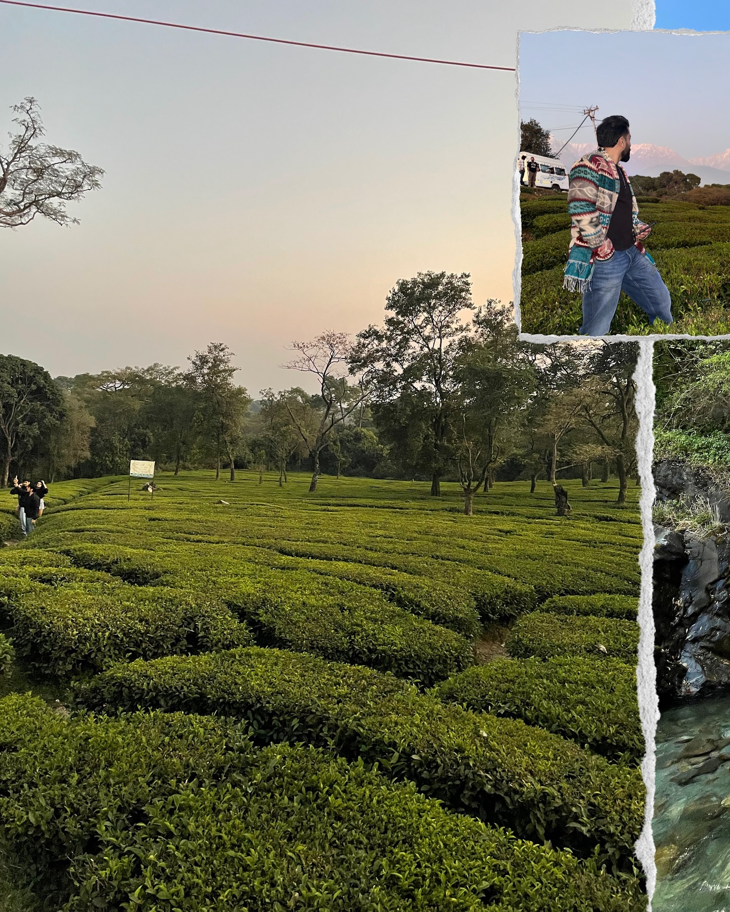 Somewhere between misty hikes and mountain chai 🍃
From the calm of Bhagsu Falls to the colors of Norling Festival, Mcleodganj felt like a perfect pause. Days spent wandering through tea gardens, Tibetan markets, and cozy ramen cafés — and nights wrapped in mountain quiet at a dreamy Airbnb stay. 🌿✨
A slice of Himachal I’d love to relive again.
#mcleodganjdiaries #Dharamshala #himalayanvibes #bhagsuwaterfall l #norlingfestival2025 #teagardens #tibetanculture #travelindia #mountaingetaway #wanderwithme #roamingradius #scrl #scrlgallery
