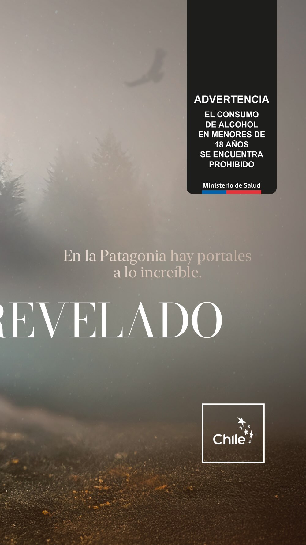 Entre ríos de deshielo, bosques milenarios y un silencio que solo rompe el viento, destilamos y envejecemos Tepaluma® Gin Añejado, Espíritu de los Césares. Aquí, en la Patagonia chilena, el tiempo tiene otro ritmo y la naturaleza dicta su propio lenguaje. Cada gota de este gin guarda ese pulso salvaje: el alma misma del fin del mundo.
🌿 Primera Edición 2025: solo 1.000 botellas numeradas. Un gin que no se explica, se revela.
Preventa disponible en www.tepaluma.com
Despachos o retiro en tienda desde el 10 de noviembre.
Región de Aysén: Retiro en Gran Calafate desde el 21 de noviembre.
Real. Salvaje. Icónico. Tepaluma®
….
⚠️ ᴀᴅᴠᴇʀᴛᴇɴᴄɪᴀ: ᴇʟ ᴄᴏɴsᴜᴍᴏ ɴᴏᴄɪᴠᴏ ᴅᴇ ᴀʟᴄᴏʜᴏʟ ᴅᴀñᴀ ᴛᴜ sᴀʟᴜᴅ I ɴᴏ ʙᴇʙᴇʀ ᴀʟ ᴄᴏɴᴅᴜᴄɪʀ I ʀɪᴇsɢᴏ ᴘᴀʀᴀ ᴛᴜ ʙᴇʙé I ɴᴏ ʙᴇʙᴇʀ ᴍᴇɴᴏʀᴇs ᴅᴇ 𝟷𝟾 ᴀñᴏs I ᴍɪɴɪsᴛᴇʀɪᴏ ᴅᴇ sᴀʟᴜᴅ
ℹ️ᴠᴀʟᴏʀ ᴇɴᴇʀɢéᴛɪᴄᴏ ᴅᴇ ᴛᴇᴘᴀʟᴜᴍᴀ ɢɪɴ: 𝟸𝟺𝟶 ᴋᴄᴀʟ ᴘᴏʀ ᴄᴀᴅᴀ 𝟷𝟶𝟶 ᴍʟ I ᴛᴇᴘᴀʟᴜᴍᴀ ᴍᴀǫᴜɪ ɢɪɴ: 𝟸𝟷𝟽 ᴋᴄᴀʟ ᴘᴏʀ ᴄᴀᴅᴀ 𝟷𝟶𝟶 ᴍʟ
#TepalumaGin #Patagonia #PatagoniaChilena #DestileríaTepaluma #CarreteraAustral #Chile #añejado #agedgin