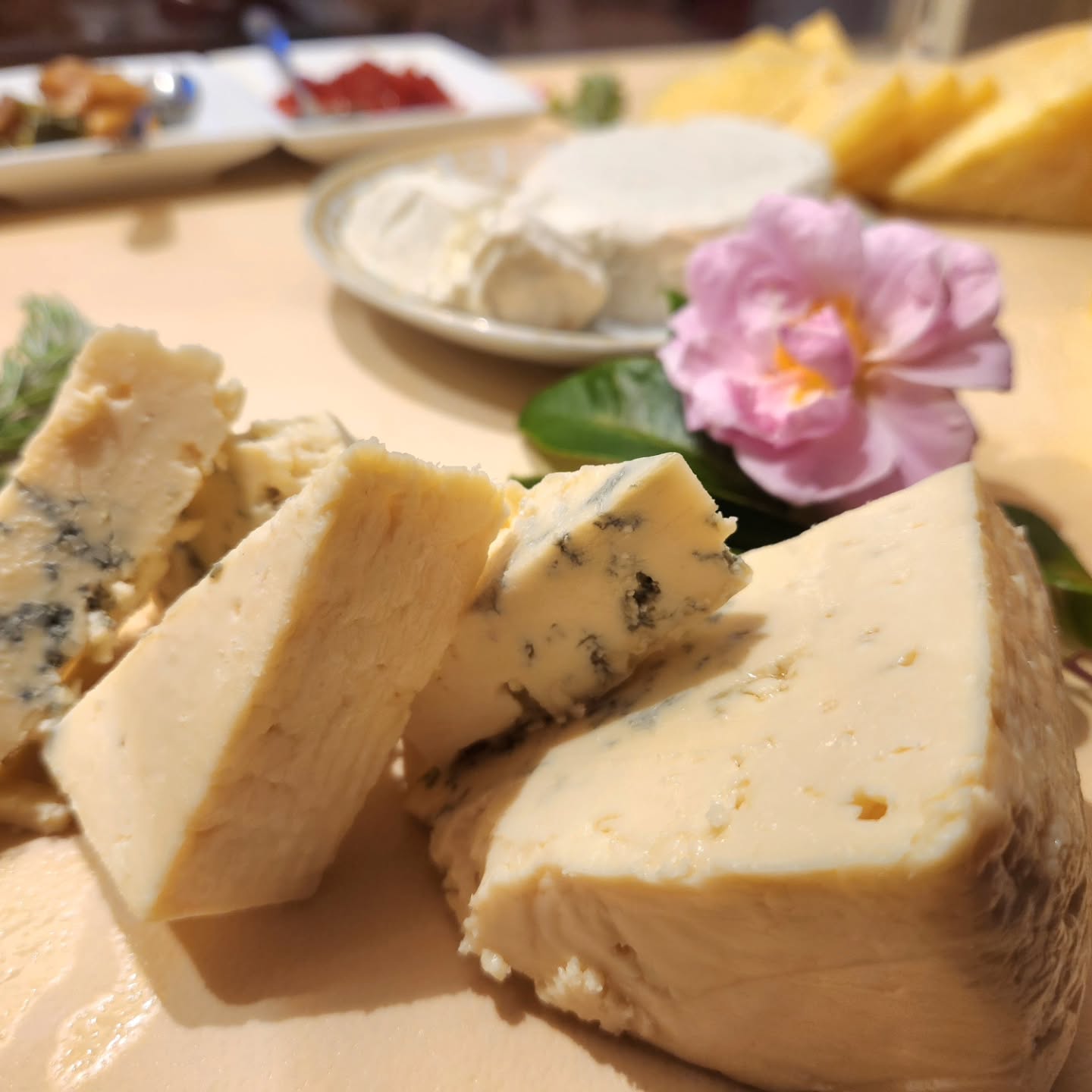 💛🧀It's Wednesday Wine and cheese night!🧀💛 Enjoy our Artisanal Cheese Plate and recieve half off your first glass of wine!🍷
Book your table tonight!🥂
Open Wednesday through Saturday 5 ~ 8:30
@cheeseshop831 #staylocalaptos #aptosdining #farmtotable #supportlocalbusinesses #santacruzsentinelreaderschoice #cheeselover