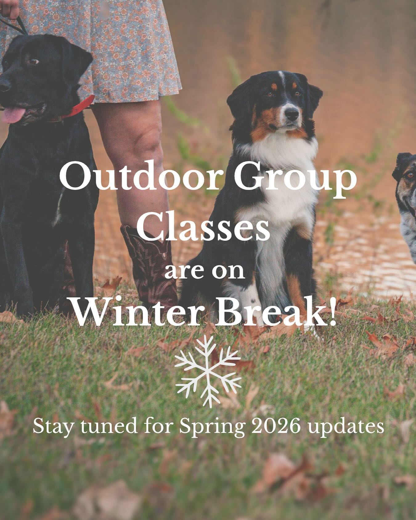 ❄️🐾 Outdoor Group Classes Are On Winter Break! 🐾❄️
Thank you to everyone who joined us this year! Our outdoor group classes are taking a cozy pause for the winter months.
We’ll be back with fresh class offerings in Spring 2026—but in the meantime, keep those paws (and brains!) moving!
🐾Stay active.
🐾Keep training.
🐾Reach out for private training options.
🐾And stay tuned for warm + fun indoor training opportunities this winter!
Let’s make sure your pup’s skills don’t hibernate!☃️
•
•
•
#winterdogs #grouptrainingclass #vermontdogs #winterdogtraining #802dogs