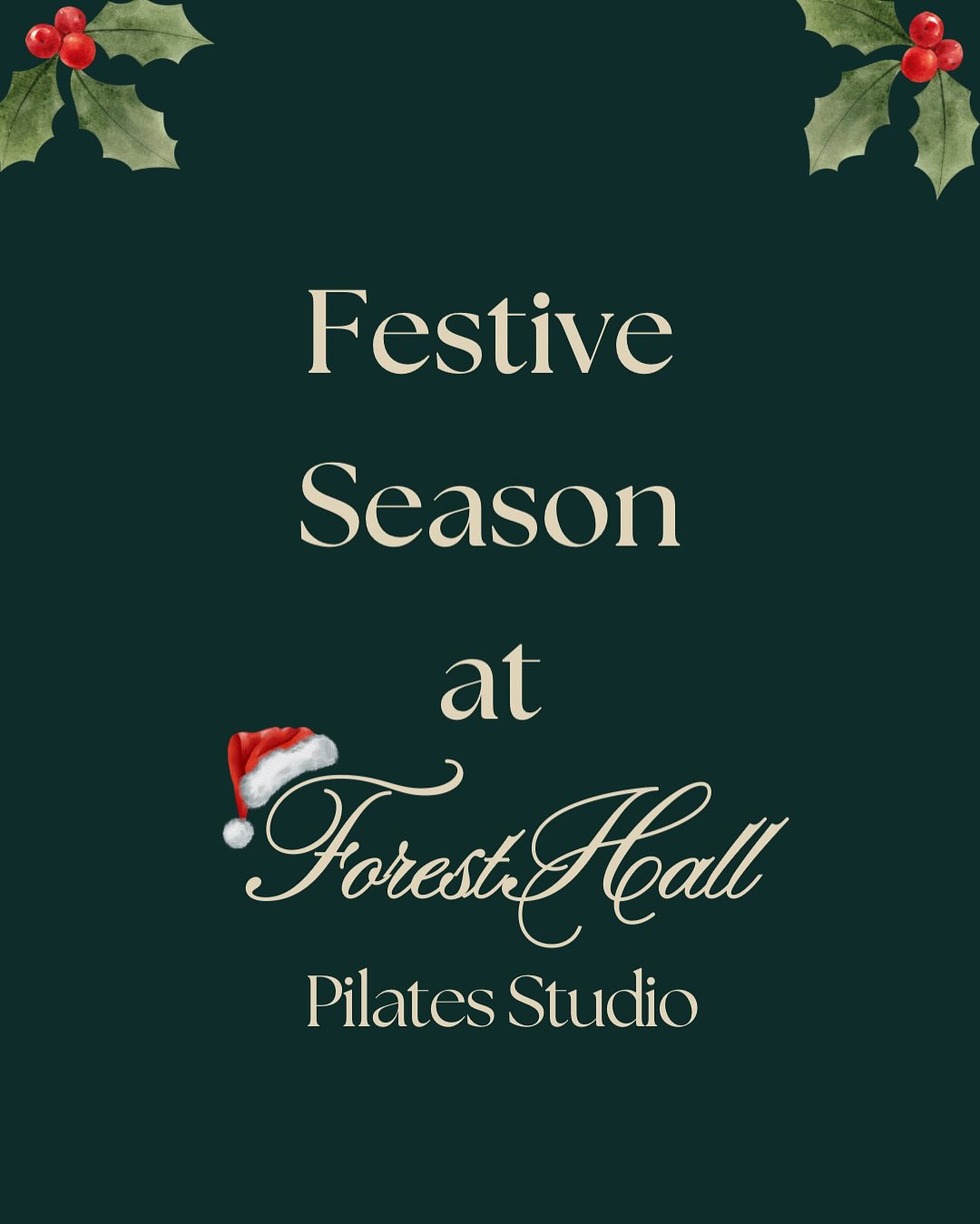 60 days until Christmas….get your festive plans in order ✨❤️🎄