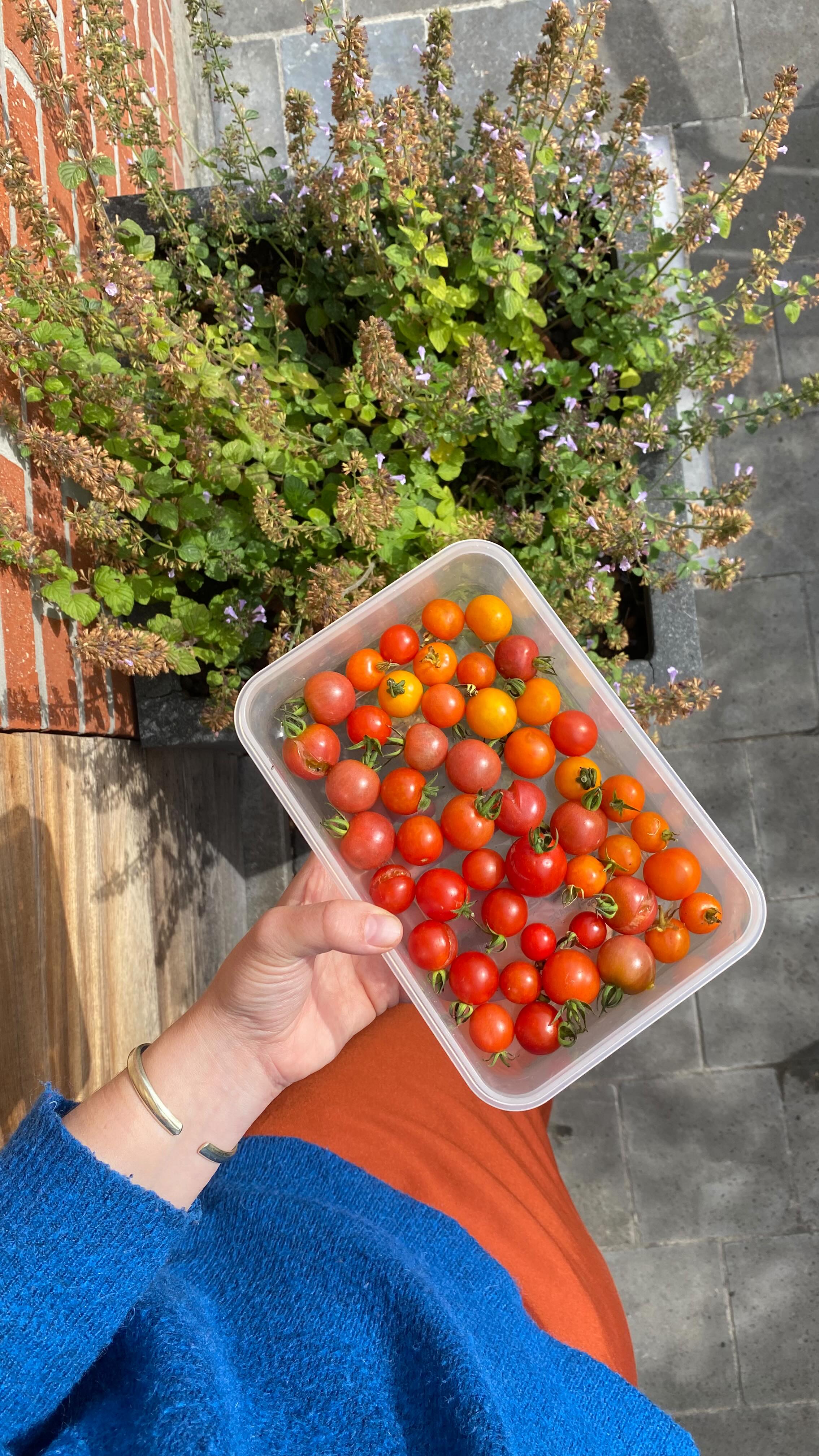 Et c’est exactement ce que je t’apprends à faire dans le ✨Happy Hormones Club✨
De l’individuel pour cibler ta problématique et travailler de façon personnalisée.
Du groupe pour profiter de la force et la motivation d’autres femmes qui vivent la même chose que toi.
Une plateforme avec tout ce dont tu as besoin pour comprendre et devenir autonome avec ta santé.
J-4 pour prendre ta place, profiter du tarif de lancement et enfin transformer ta santé 🤝💥