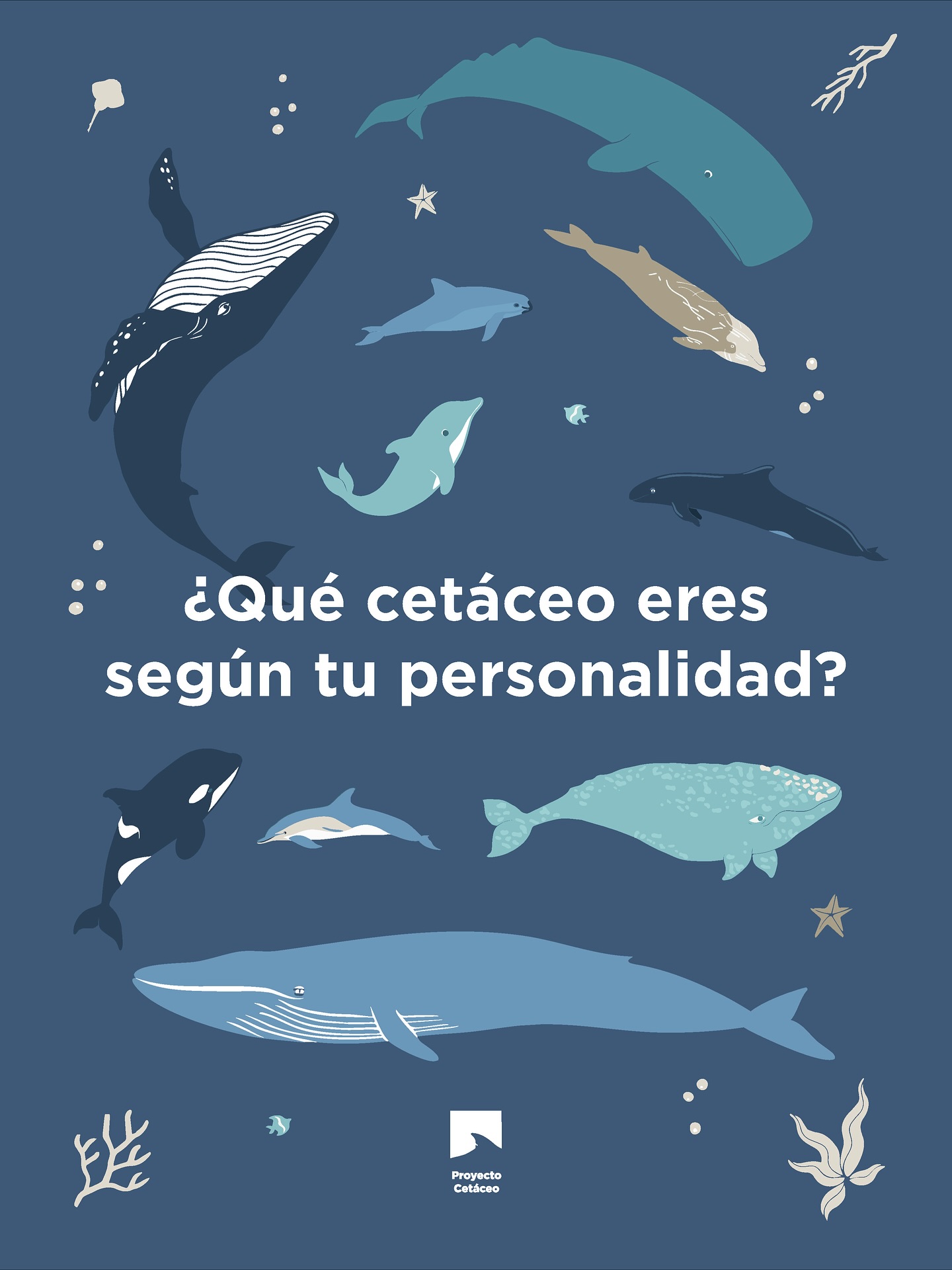 Cada cetáceo tiene su propio estilo: el que viaja sin parar, el que ama el silencio y el que protege a todos.
¿Cuál eres tu?
Gracias @kasiasuro por dibujar los cetáceos tan bonitos
#cetaceos#personalidades#proyectocetaceo#ballenas#delfines