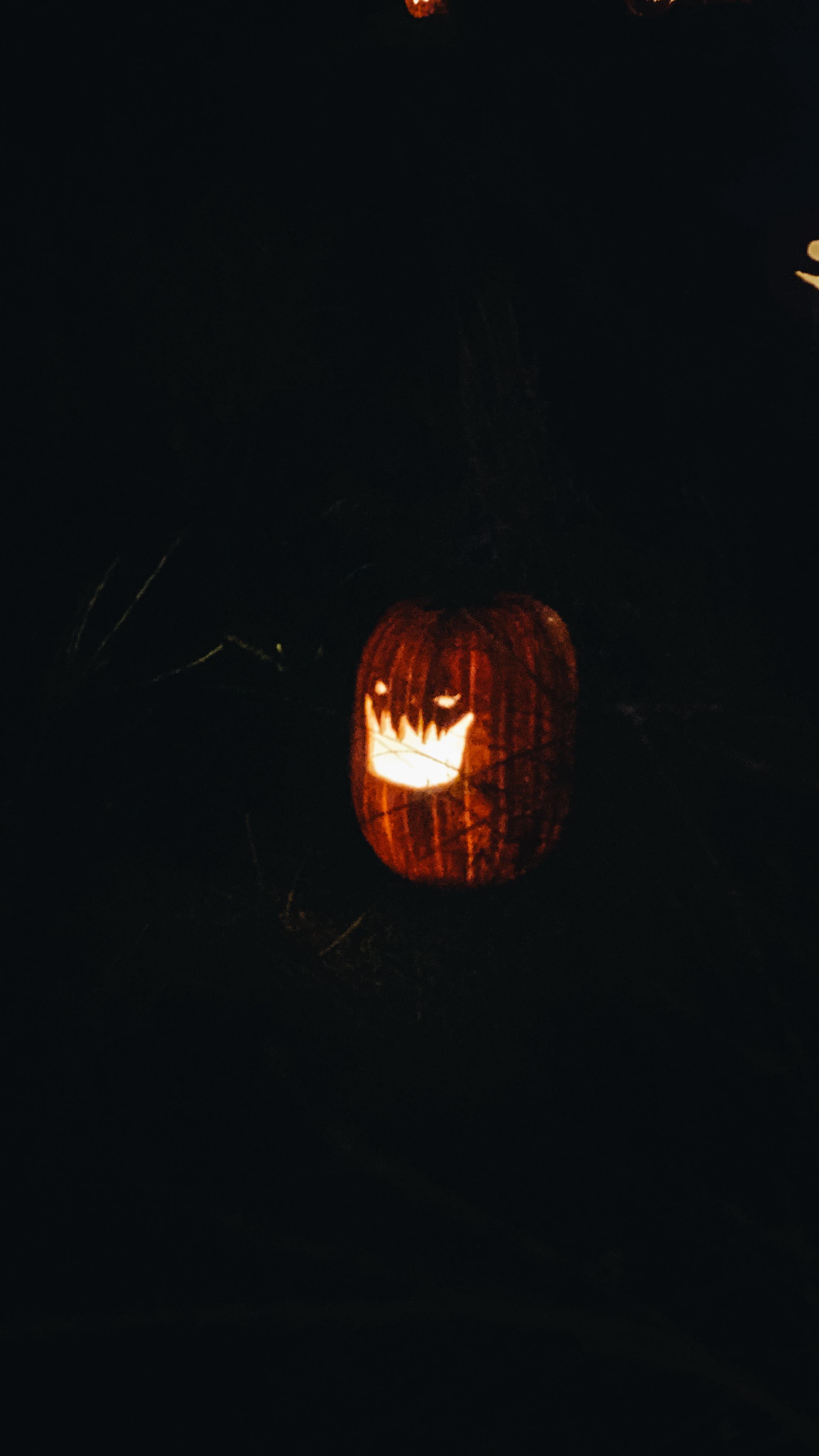 Magical Nightfall @filoliestate with my beloved Coco 🎃 #thisishalloween