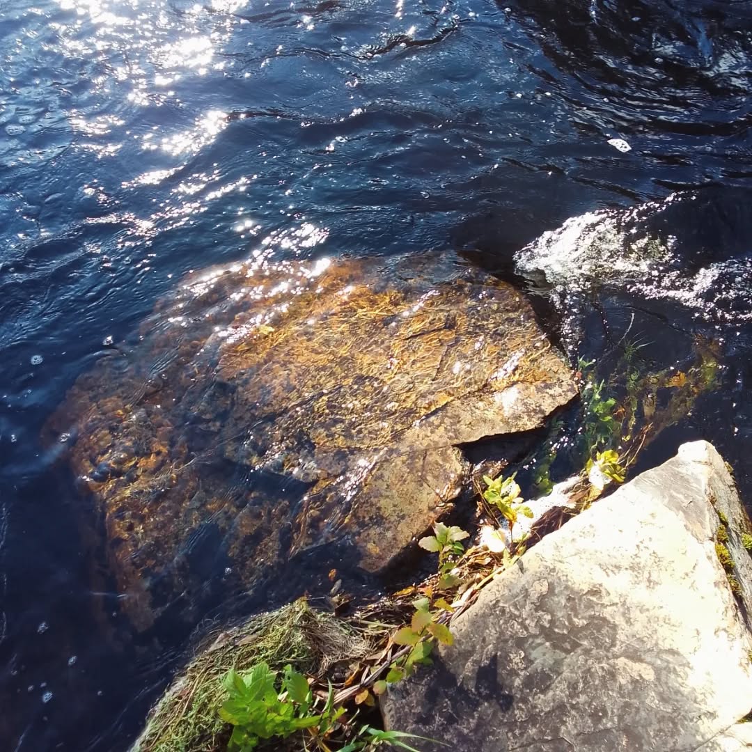 For everyone who sat with me here during the dry summer fires - the river is full again! So grateful for all the water. 🙏💙♥️
