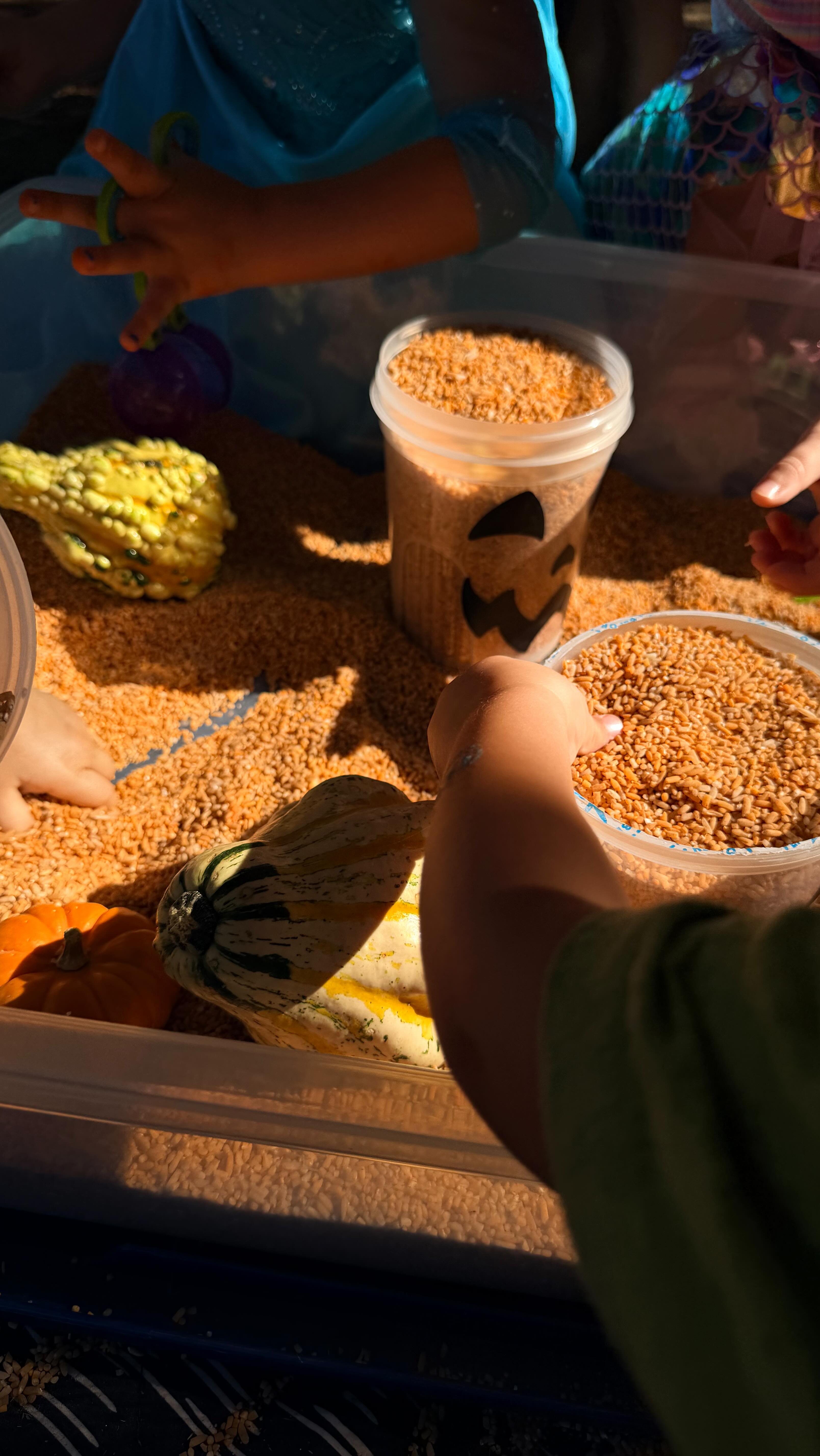 Our little explorers got hands-on with all things pumpkin 🎃
From mystery touch bags to apple stamping and pumpkin bins galore — so many textures to explore!
Squishy, rough, smooth, or soft… every touch was a spooky surprise! 👻
#verradomoms #goodyearmoms #wildwondersaz #natureschool #outdoorlearning #natureplay #handsonlearning #litchfieldparkmoms #westvalleykids