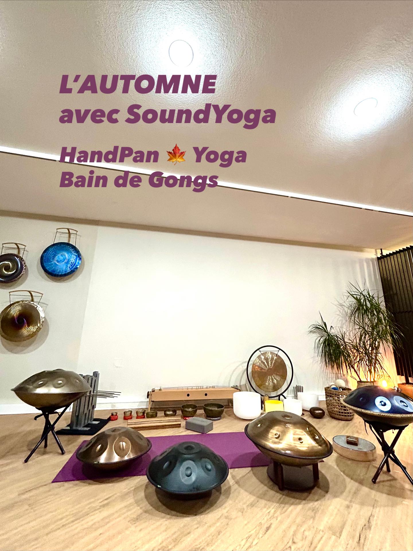 🌈Votre programme anti-grisaille est là !
Nous vous avons préparé un mois de novembre riche en découvertes et en vibrations pour garder l’énergie au plus haut !
🎶 Pour les amoureux du son
NOUVEAU Groupe de HandPan !
Envie de vous initier à la magie du HandPan ? Un nouveau groupe démarre le samedi 22 novembre pour découvrir et apprendre à jouer de cet instrument envoûtant.
Bain de Gongs - NOUVELLE Séance!
Vous l’avez adoré pour sa puissance, nous avons ajouté une date ! Plongez dans cette immersion vibratoire unique le samedi 15 novembre et le 29 novembre.
🧠 Pour les esprits curieux
STAGE INÉDIT - Solutions l’IA
Le samedi 15 novembre, Stephen vous donne les clés pour comprendre et utiliser l’Intelligence Artificielle. Un atelier fascinant et unique !
Le SANSKRIT continue de séduire !
Nous sommes fiers de retourner au Collège Malraux pour une nouvelle initiation avec les jeunes.
❤️ Notre engagement pour la ville
Nous renouvelons nos séances de Bain Sonore pour les jeunes en difficulté scolaire, un outil puissant pour lutter contre le décrochage.
🎁 La saison des cadeaux approche
Offrez une expérience qui a du sens avec une carte cadeau SoundYoga ! Valable pour l’ensemble de nos séances.
➡️ Toutes les infos et réservations sur le site www.soundyoga.fr
#Novembre #Agenda #YogaCompiegne #BainSonore #GongBath #HandpanMusic #IntelligenceArtificielle #SoutienScolaire #CadeauBienEtre #CompiegneEvents #sanskrit #soundyogacompiegne #compiègne #compiegneagglo #automne #yoga #automne2025 #handpan #baindegong