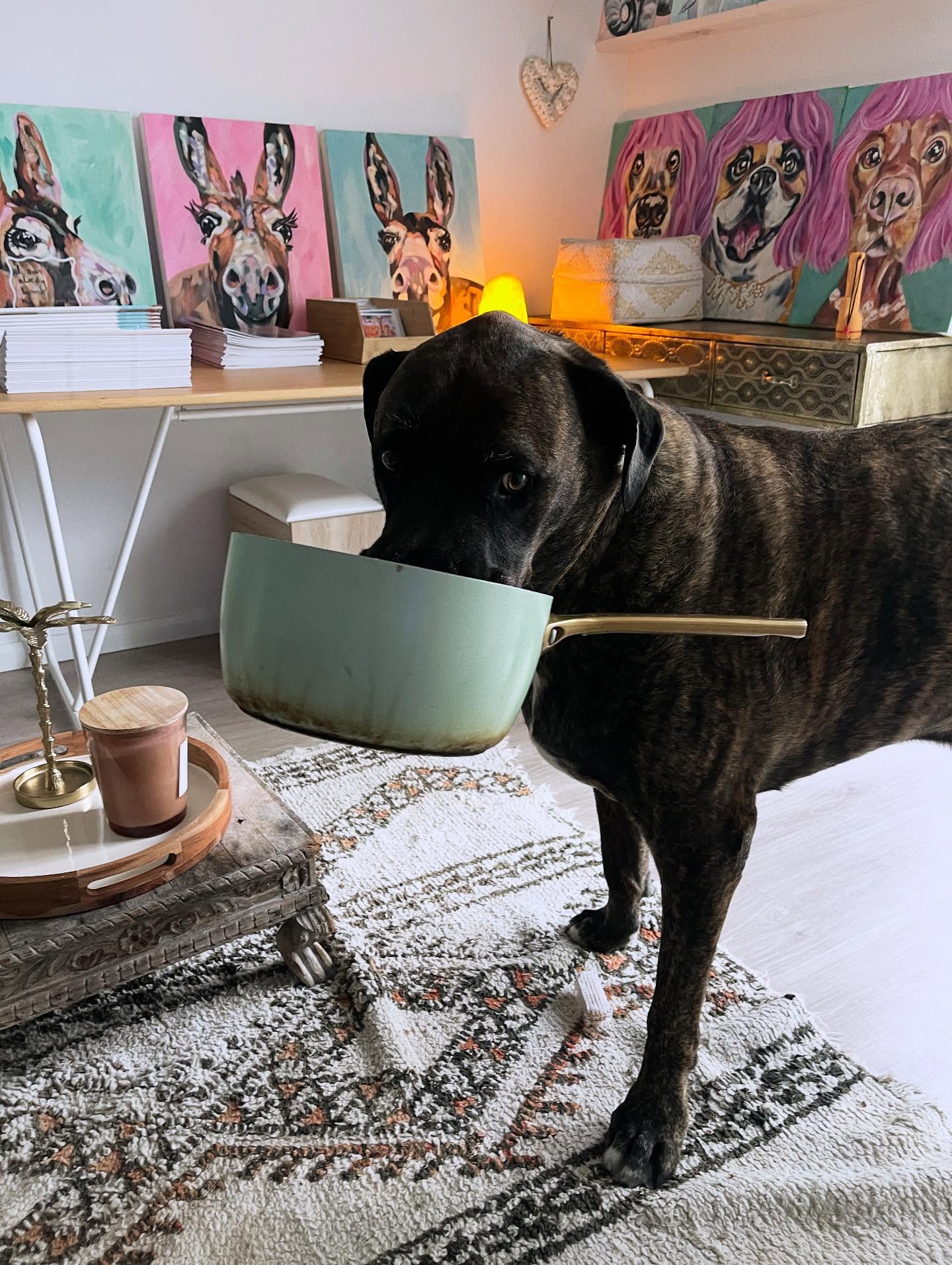 When you go to serve dinner only to discover that someone’s stolen the pot of pasta. I genuinely can’t figure out who did it. Any ideas?!? 😆