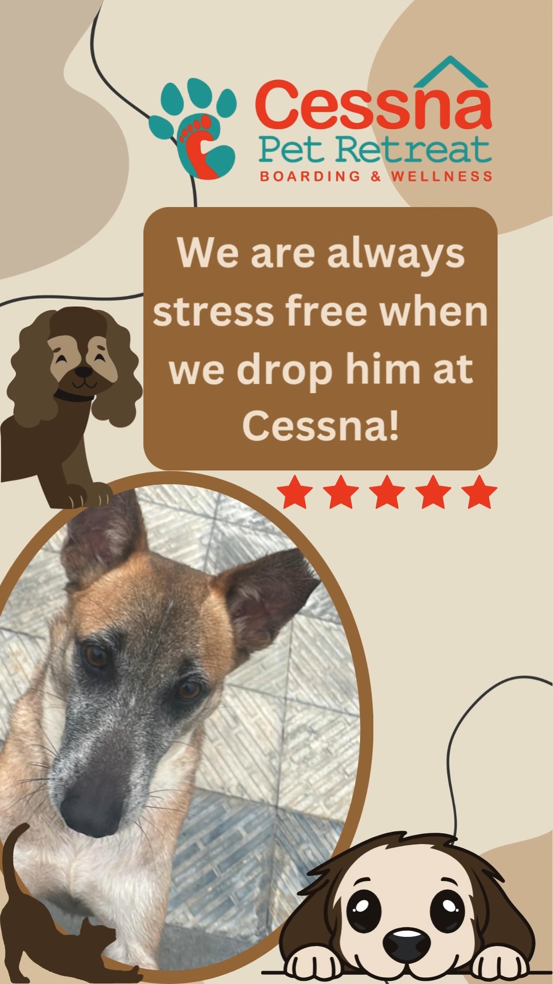 Tail wags, five stars, and glowing words from pet parents — that’s how we know we’re doing it right! Thank you for trusting us with your furry family.
Want your pet to experience it too? Head to www.cessnapetretreat.com or call us on +91 7619 634627.
#cessnalifelineveterinaryhospital #cessnalifeline #petparentapproved #retreatreviews #dogboardingbliss #bangalorepetlovers #petboardingspace