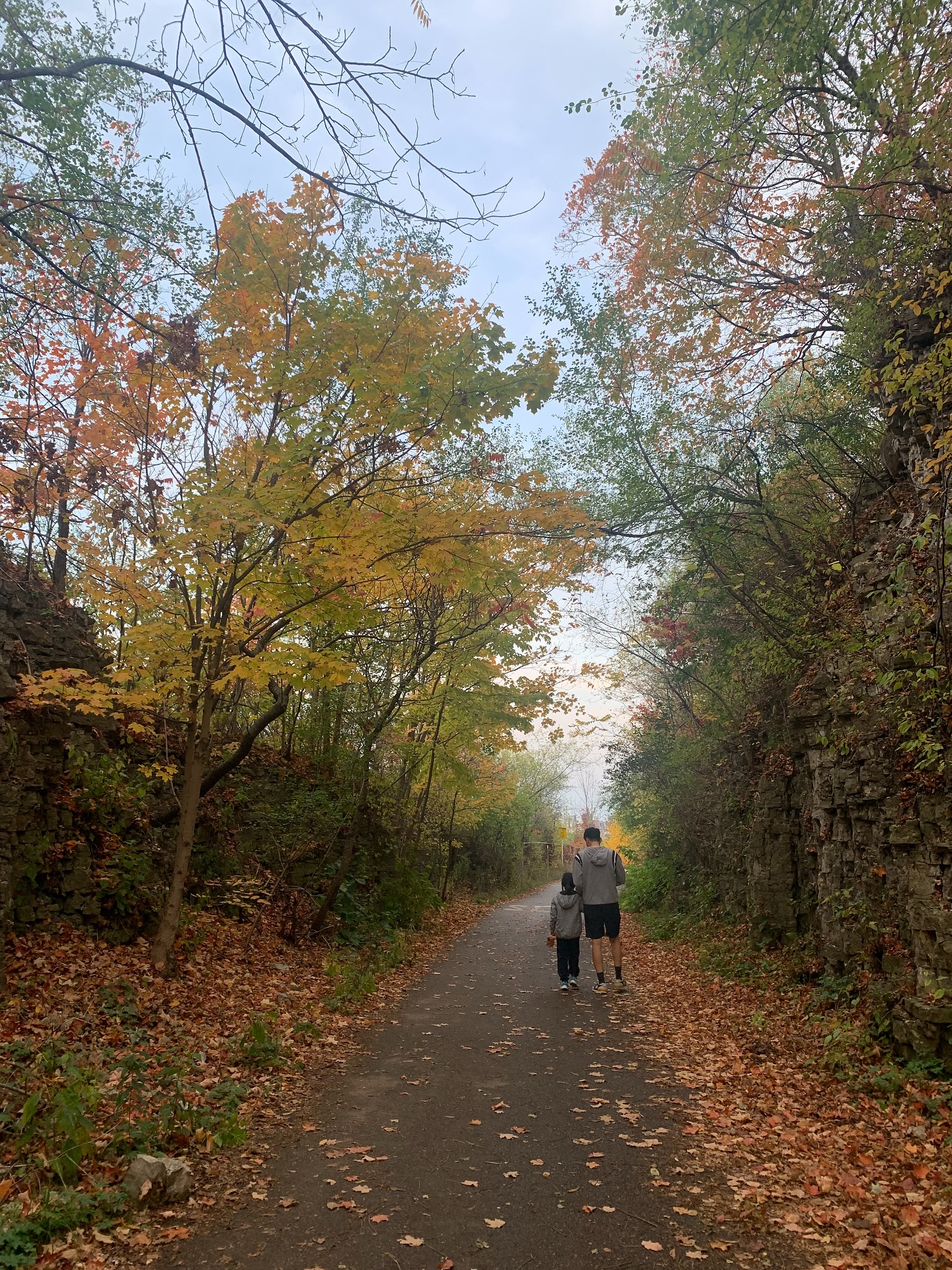 The colours of autumn — nature’s way of showing us how beautiful change can be. 🍂🍁
#autumn #artInspiration #HikeWithFamily