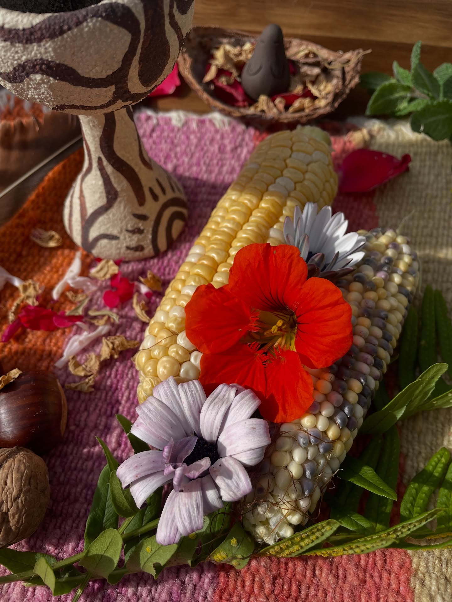 The power of cacao 🤎
Post un peu tardif, mais j’avais un grand besoin d’intégration !
Il y a quelques jours, j’ai entamé une reliance à mes ancêtres en m’accompagnant de Mama Cacao et @ceremoniecacaosacre .
J’avais besoin d’honorer et célébrer ma lignée en cette période de Toussaint. J’ai passé plusieurs jours à préparer mon autel, et faire des recherches sur les derniers noms de mon arbre généalogique.
Je pensais passer un moment doux et intime, mais ce qui en est ressorti a été tellement plus fort.
Les ancêtres qui se sont présentés à moi n’étaient pas ceux que je pensais. Des émotions brutes, des messages intenses et courageux, du pardon. Et évidemment beaucoup beaucoup d’amour.
Me savoir soutenue et guidée dans mes choix par mes ancêtres est une vraie bénédiction.
Mais j’ai aussi senti à quel point je suis chanceuse d’être tombée dans cette famille si aimante, et malgré les maladresses de certains, l’amour est présent tout autour de moi. Je suis tellement reconnaissante.
Vous êtes pardonnés. Je vous aimes.
Merci à Cacao de m’avoir aidé à accueillir ces messages si précieux.
Merci à @ceremoniecacaosacre pour la guidance.
Merci esprit du Vautour, du Corbeau et du Milan royal d’avoir cheminé physiquement à mes côtés pendant ces quelques jours.
Merci au Feu des ancêtres d’avoir brulé 48h sans interruption.
Merci à moi, de m’être offert ces 5 jours.
Et toi, te sens-tu relié à tes ancêtres ?