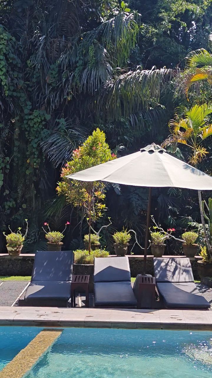 Dreamy sights!✨
Have you been dreaming or maybe even planning a trip to Bali? I would have never thought it was in the cards for me to travel to a different continent and the preparation felt a little daunting, but it was an experience I am incredibly grateful for! In the First Edit of the Travel Journal I will show you the beautiful island through my eyes, with tips and hotspots!
The Bali Edit is coming soon!
#dutchswimwearlabel #perzikswimwear #corevalues #discoverplayfulness #label #designer #business #swimwear #community #traveljournal #bali #trip