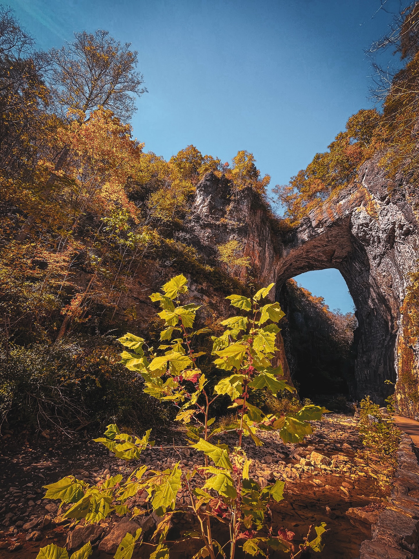 the annual Shenandoah trip was beautiful as always 🏕️
a very much needed reset with the overwhlem of my daily life lately.🌻
#camping #nature