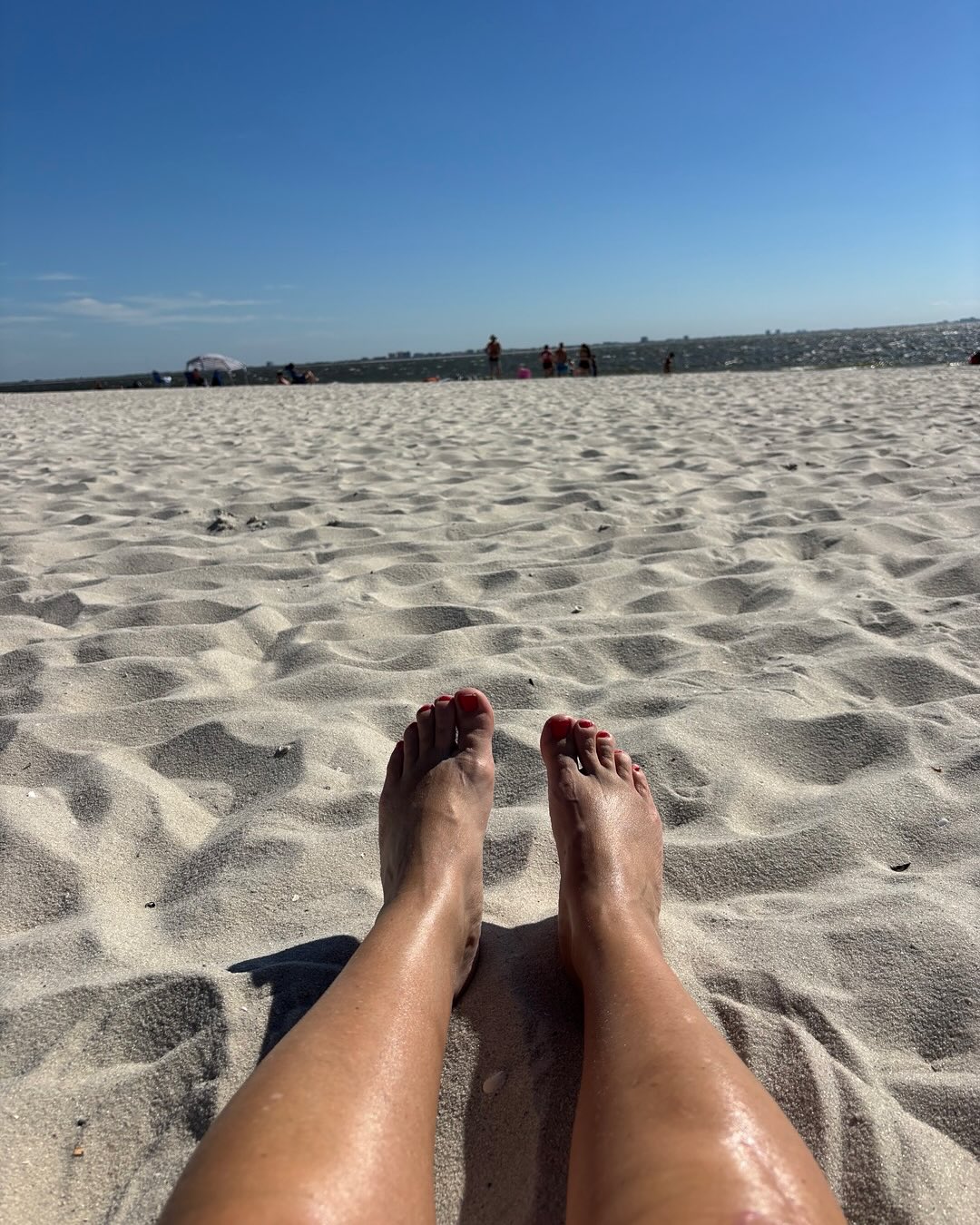 Feeling so grateful to be back in the sand here in SWFL on my new knee! 🙏
Thankful for my dream team that got me here:
Dr. Bono of The Baptist, Kristin PT at Momentum Physical Therapy in Milford and Dr Kelly my chiropractor at Active Recovery of Franklin.
Three months post-op, walked 1.3 miles this morning at Lakes Park taking in all that nature had to offer.
Now icing again.
Patience 😎
#gratitude #dreamteam #physicaltherapyworks #lovemyteam #dontstop #keepgoingforward