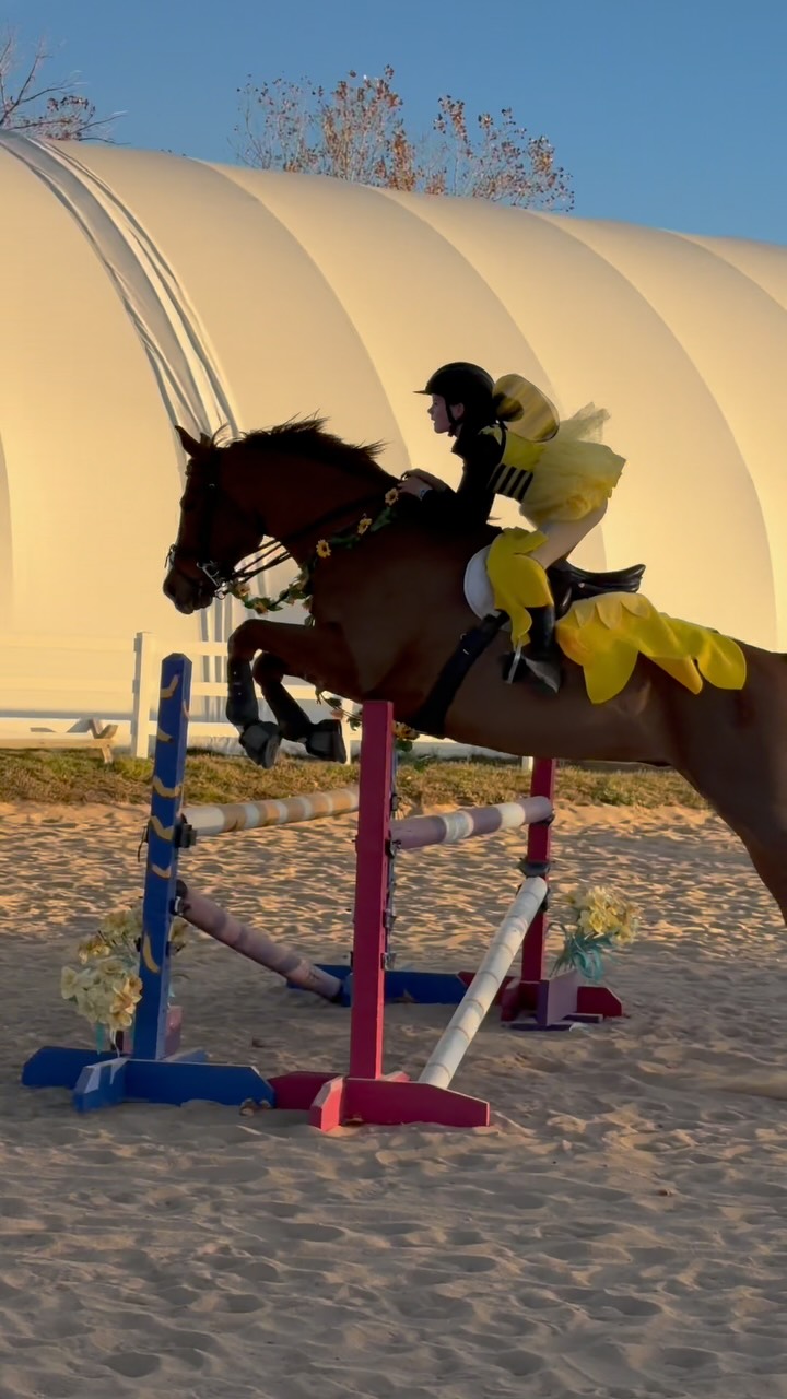 🐝 She IS the moment @liv__ward50 #horses #colorado #equine #hunterjumper #chja