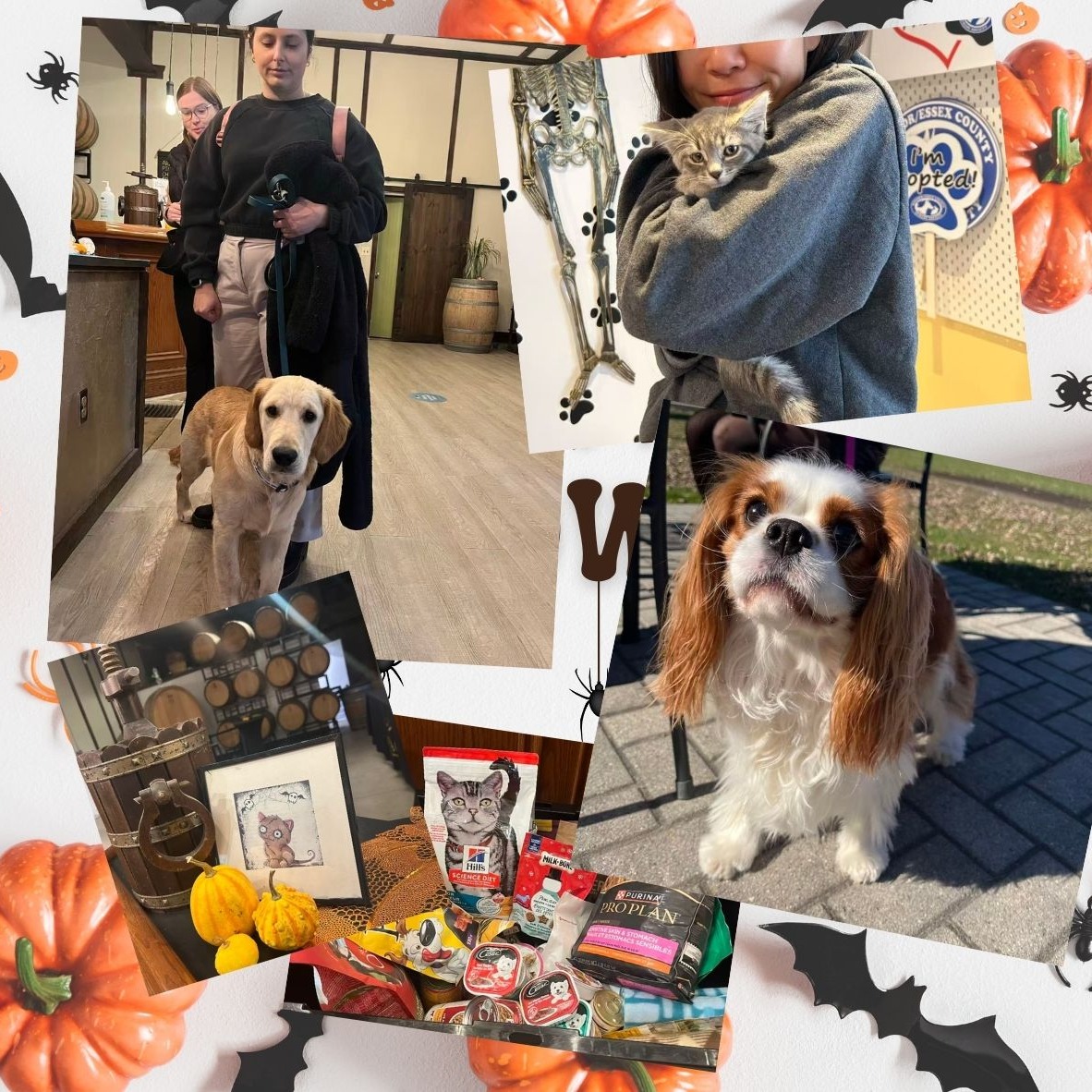 Thank You from All of Us at Vivace!
A heartfelt thank you to everyone who joined us on Sunday for our donation day in support of the Windsor Humane Society!
We loved seeing so many familiar faces and meeting plenty of new ones (both human and furry).
Your generosity and community spirit truly made the day special.
Because of your kindness, we’re helping support animals in need right here in our community.
Cheers to great wine, good company, and giving back together.