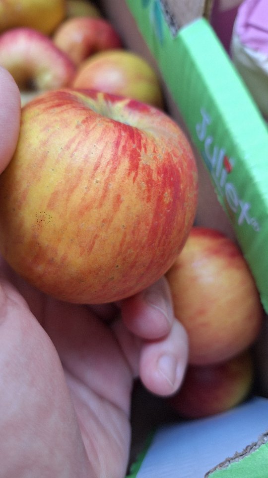 Cœur de Pomme
La confiture d'automne 🍂🍁🍂🍁
80% Pomme bio 🇨🇵
.
.
.
#benedettoconfituresatypiques #confituresatypiques #confitureartisanale #jam #jaminparis #jamlove #jamstore #bio #artisanat #marmellata #store #atelier #food #foodblogger #foodlover #dimanche #weekend #automne #paris #montmartre #gourmet #gourmandise #epicerie #love