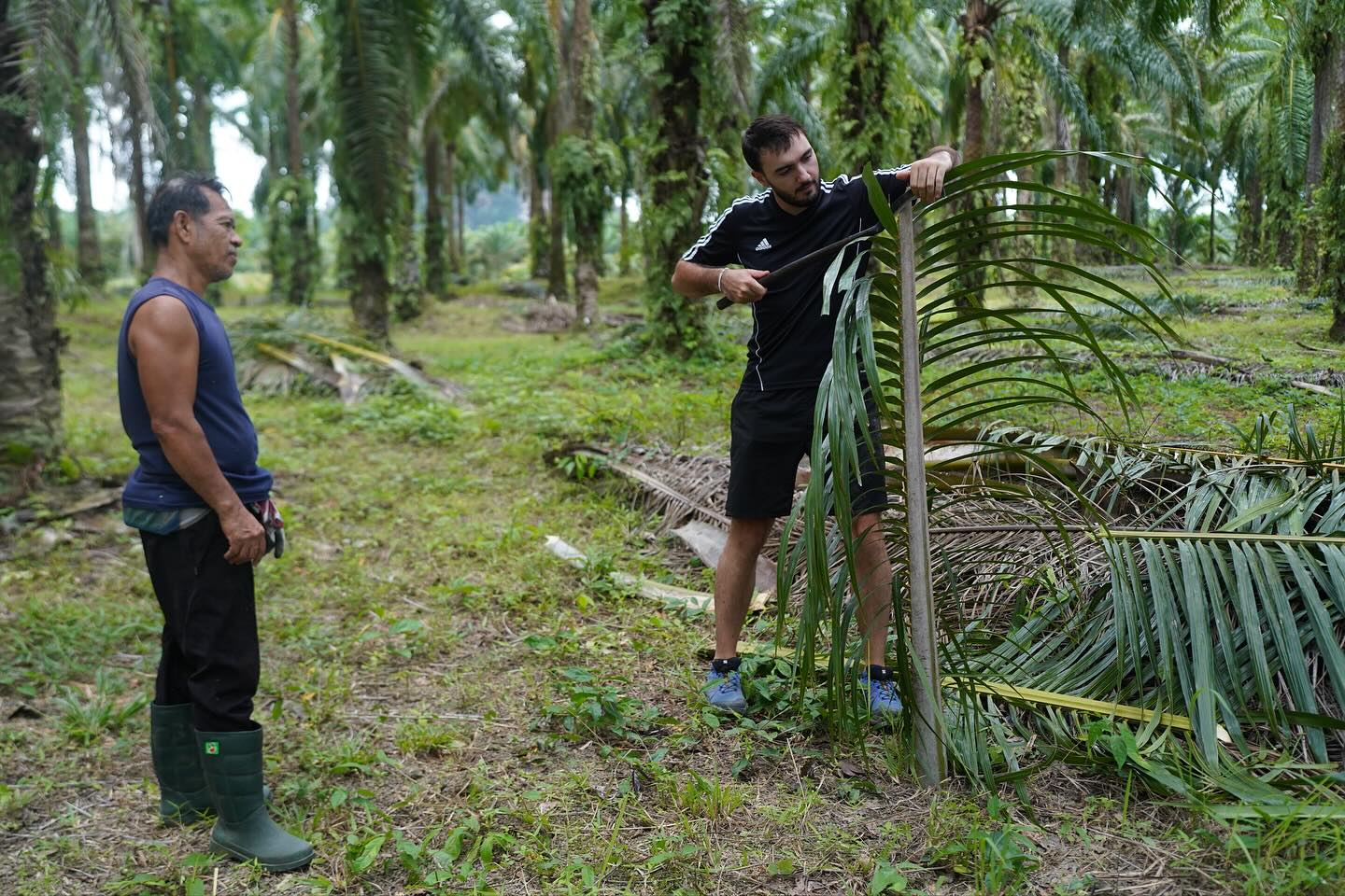 🌴 Turn waste into wonder.
At the Nature Living Institute, every palm leaf has a second life — in our Palm Waste Workshop with Chaiyut, you’ll learn how to transform discarded palm materials into beautiful, useful creations for daily living. 🧺✨
From lamps and baskets to eco-friendly home decor, this hands-on class teaches the art of circular design and sustainable living, guided by local expert Chaiyut, our Palm Master of Ao Luek.
Join us to discover how nature’s waste becomes tomorrow’s wisdom. 🌱
📍 Nature Living Institute, Ao Luek, Krabi
👉 Learn more or book your experience: www.thaispiritlife.com
#ThaiSpiritLife #NatureLivingInstitute #PalmWasteWorkshop #CircularEconomy #KrabiEcoTourism #SustainableDesign #GreenCrafts #EcoThailand #HandmadeFromNature