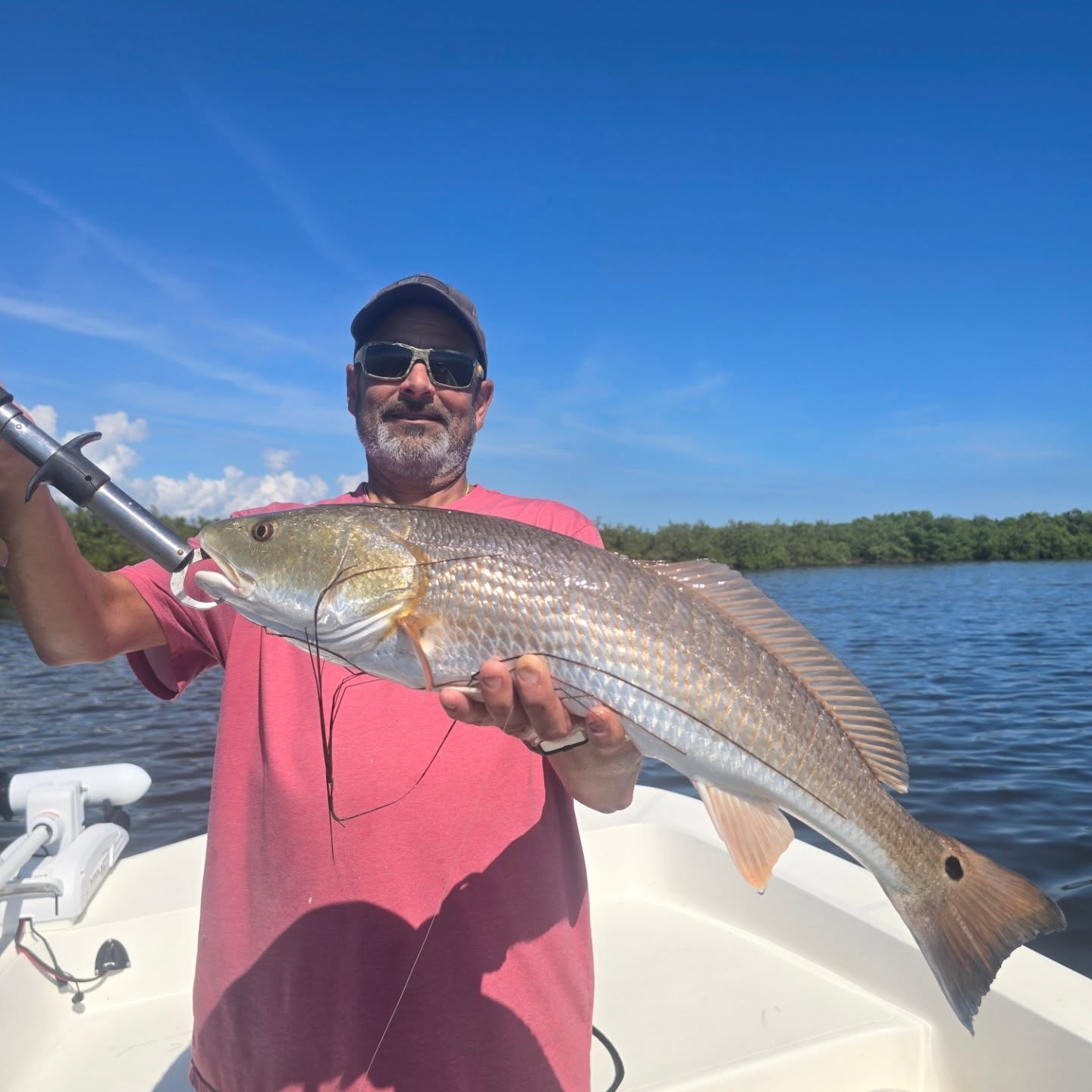 Long time client putting in work on them Mosquito lagoon reds... always a blast!! #buckedupapparellc #coderedfishingcharters #floridalife #floridafishing #floridafishingproducts #newsmyrnabeach #mosqutiolagoon #4horsemancorks #sordknives #xtratufboots #kto_customrods #turtleboxaudio www.coderedfishingcharters.com