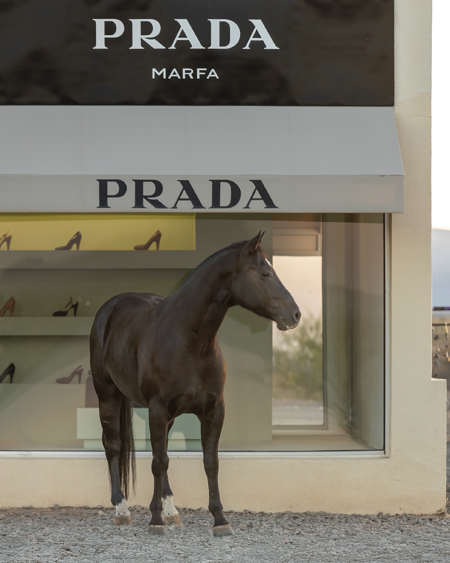 There is no right time. Just time and what you do with it.
Prada, Marfa // 2024
#ashleyadamsmedia #pradamarfa #MarfaTexas #PradaStore #westernfashion #equinephotographer #westernphotography #cowboysandindiansmagazine #cowgirlchic #cowgirlmagazine #equinephotography #fancyladycowgirl #moderncowgirl #prada #rodeofashion #rodeovogue #westernchic #westernlifeandstyle