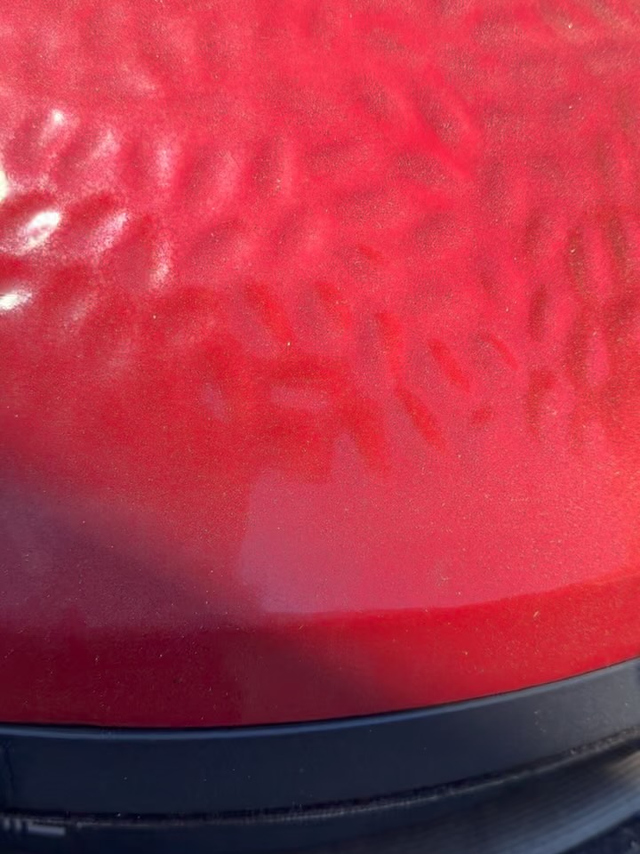 Rotisserie Chicken
#joetisserie